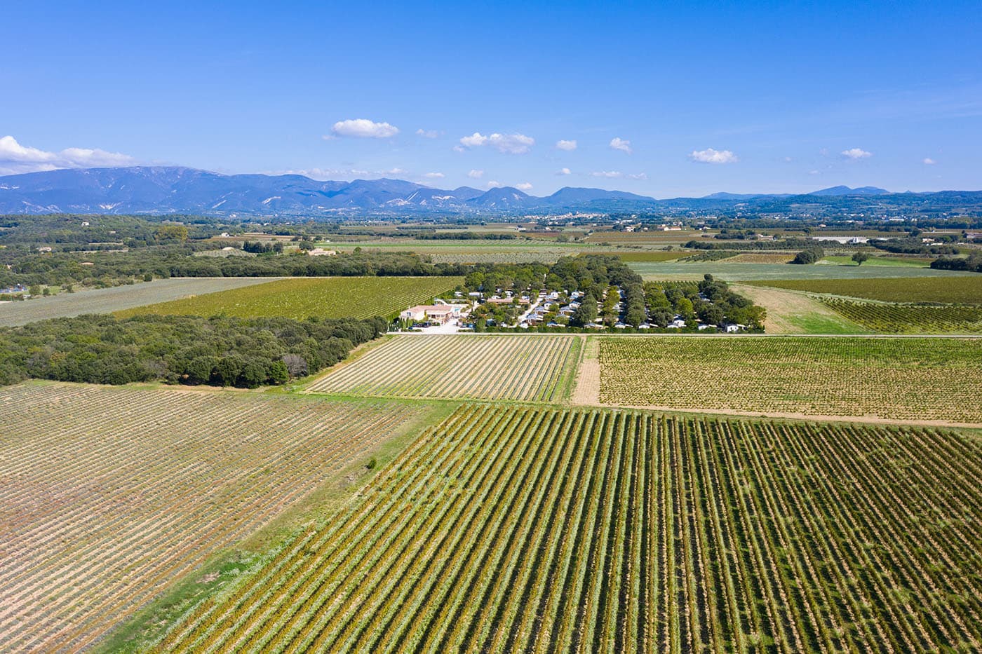 A scenery from Camping Le Garrigon