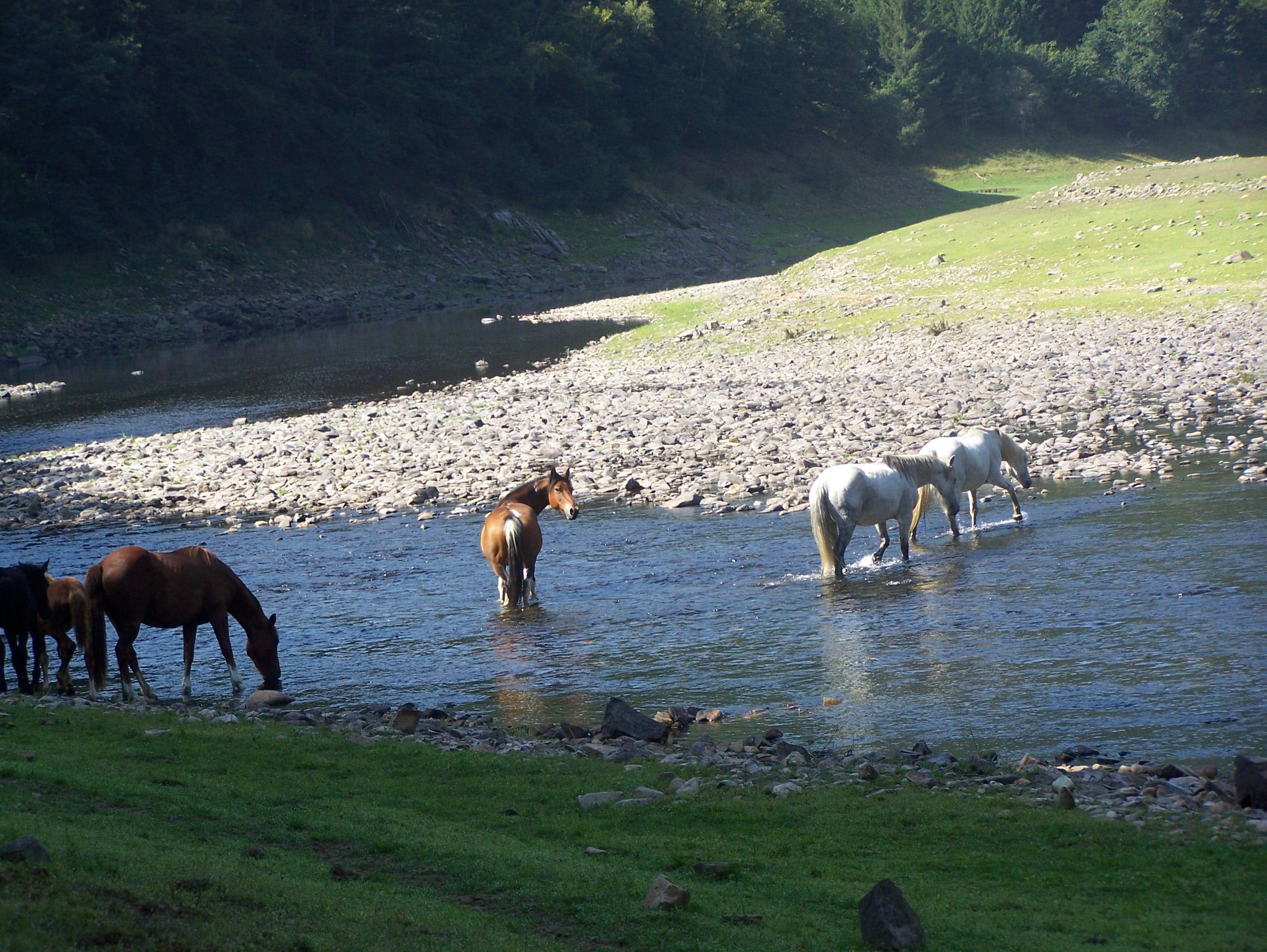 A scenery from Domaine de la Taillade