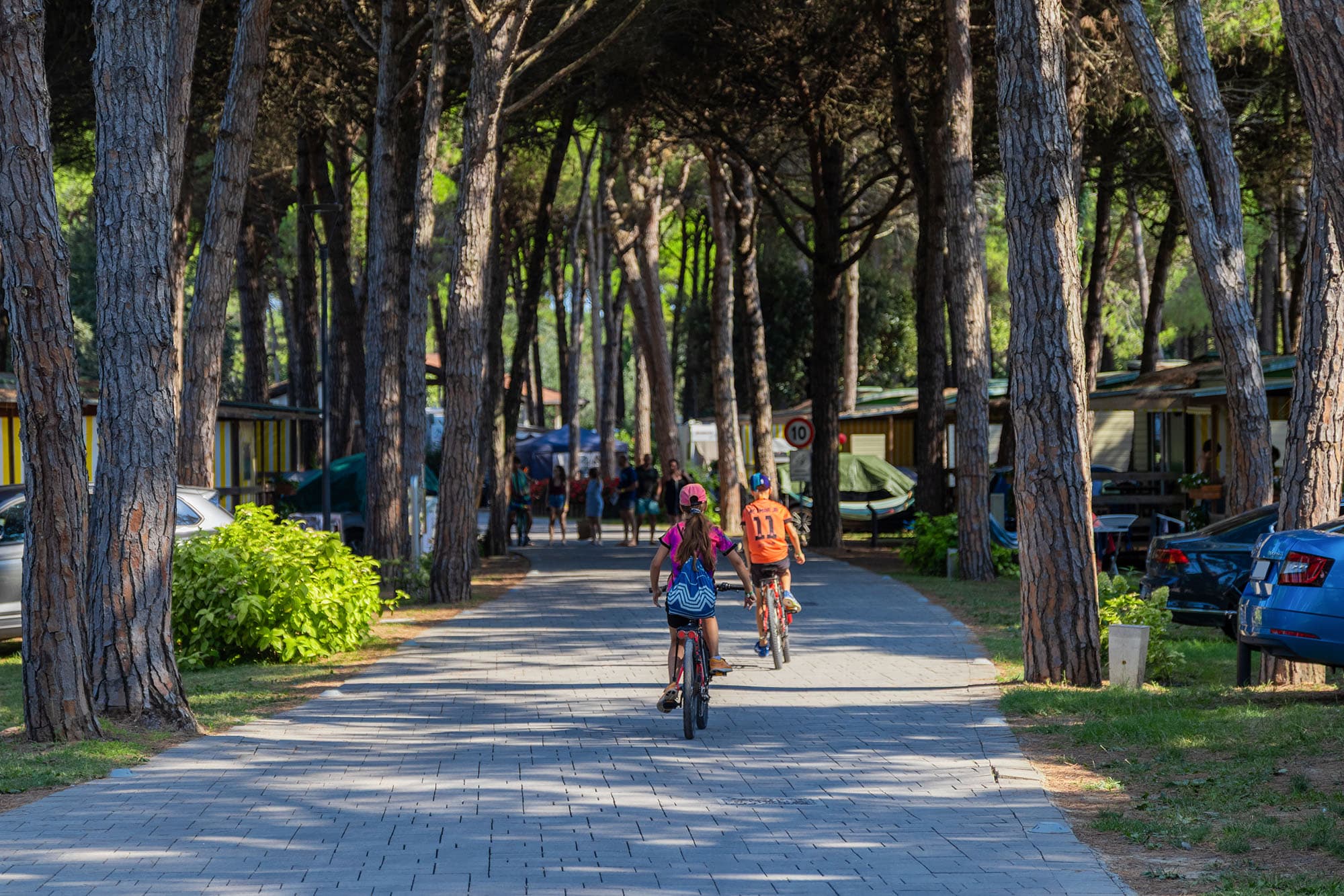 A scenery from Il Tridente Camping Village
