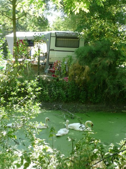 A scenery from Camping L'Ile Cariot