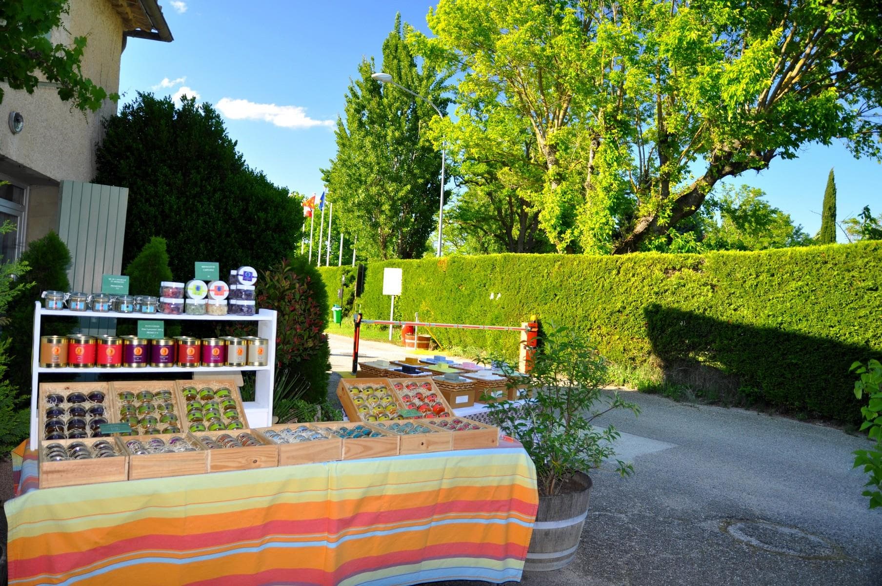 A scenery from Camping Le Brégoux