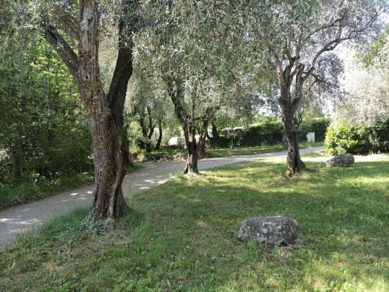 A scenery from Camping La Camassade