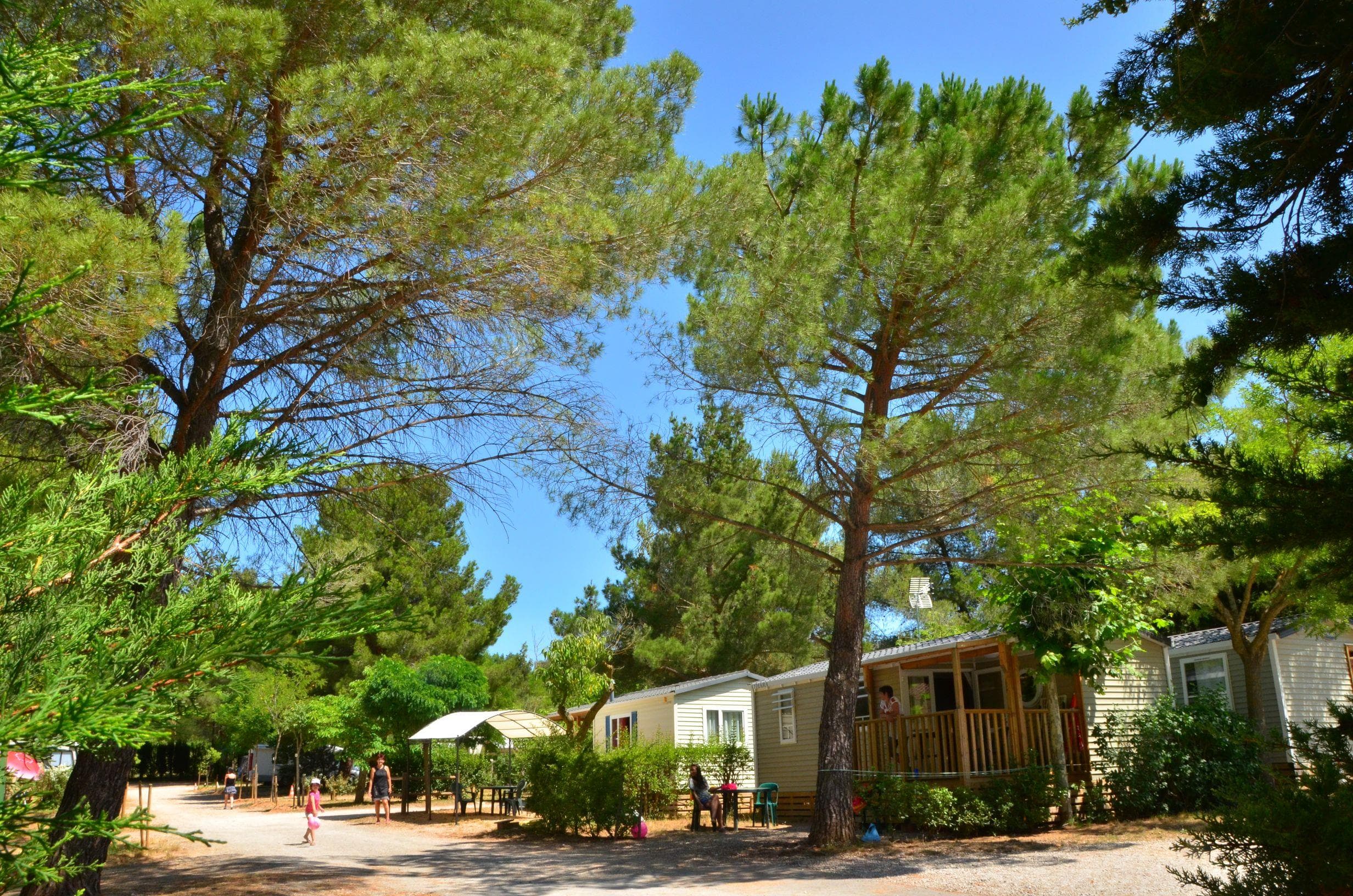 A scenery from Camping Sainte-Victoire