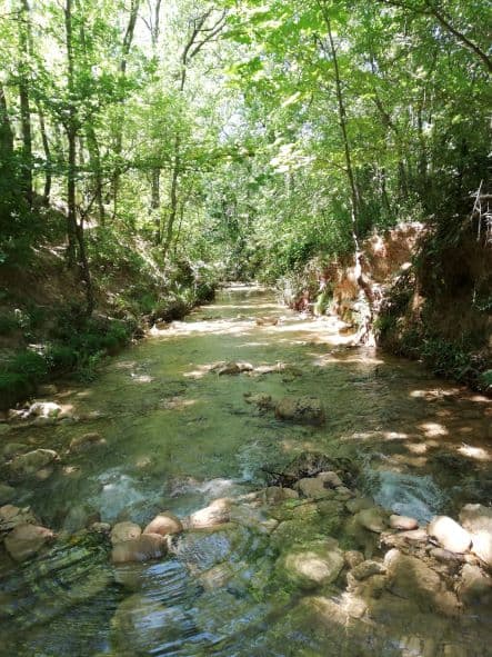 A scenery from Camping Sainte-Victoire
