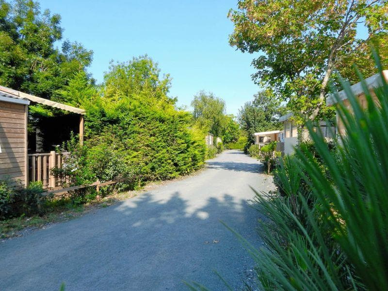 A scenery from Camping Au Petit Port de l'Houmeau