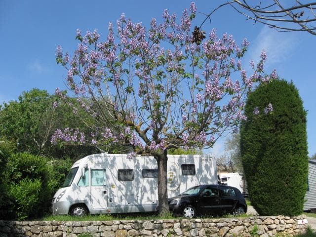 A scenery from Camping La Paoute