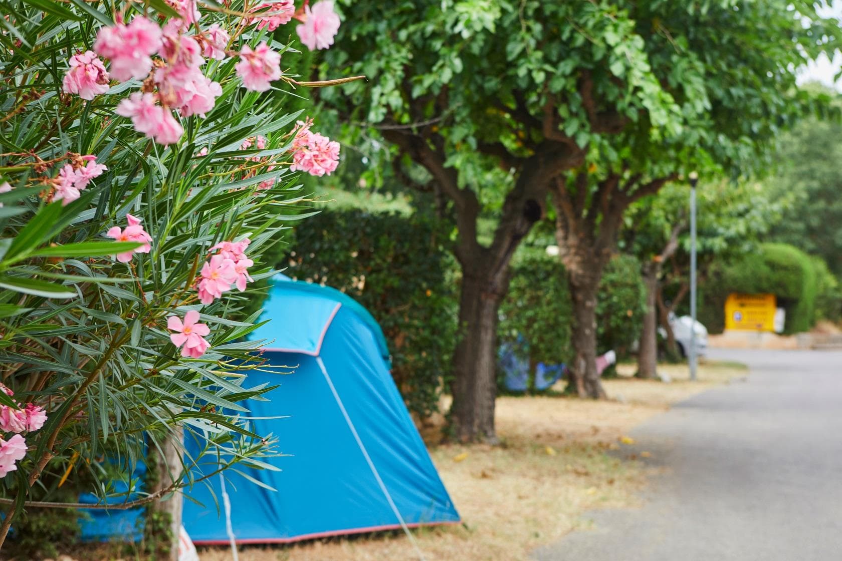 A scenery from Camping La Paoute