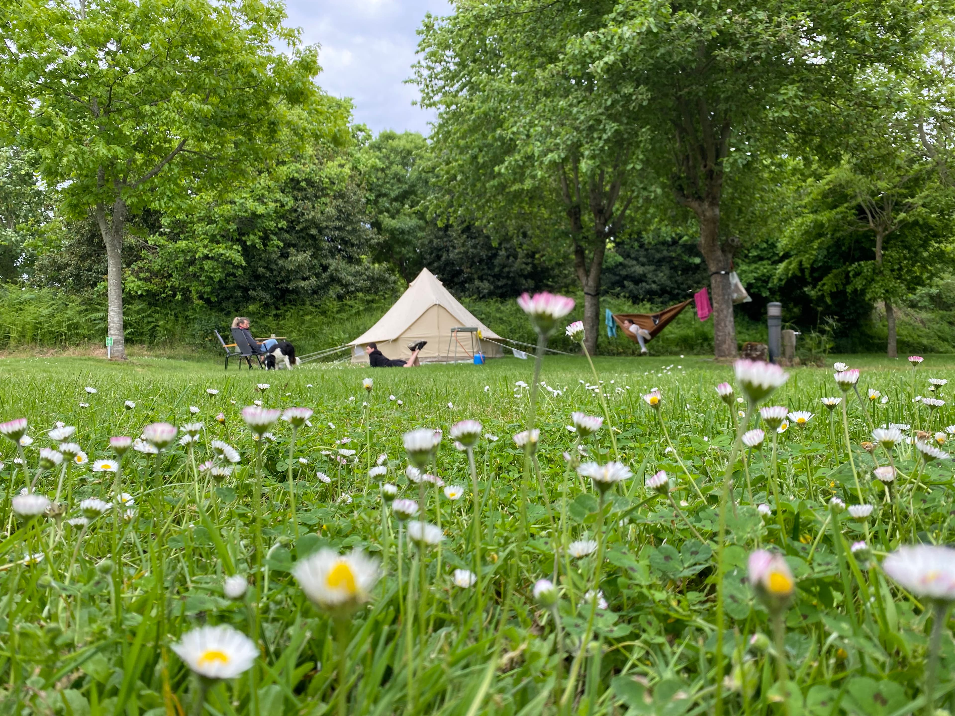 A scenery from Camping La Ferme de Lann Hoedic