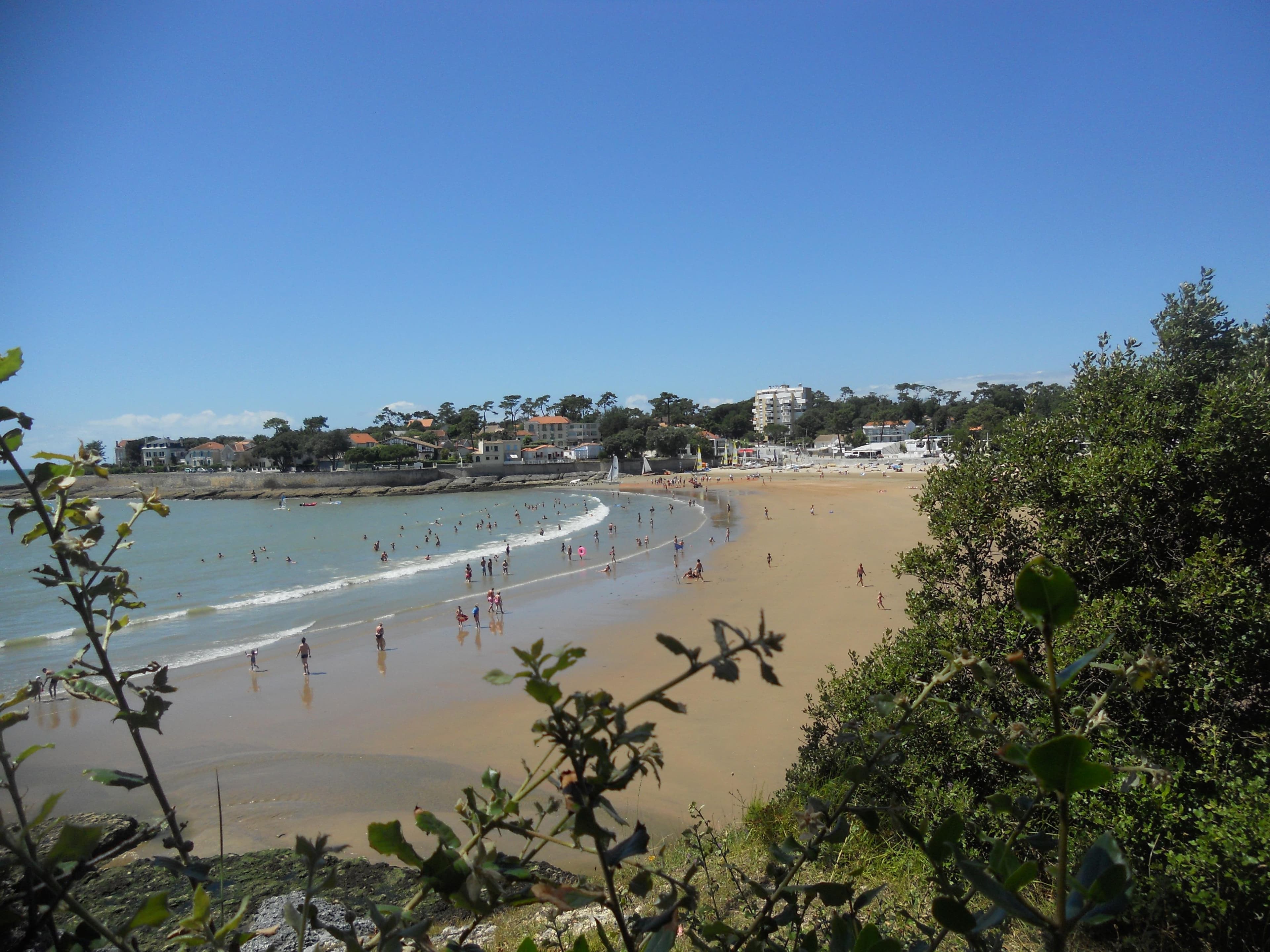 A scenery from Flower Camping Le Nauzan Plage