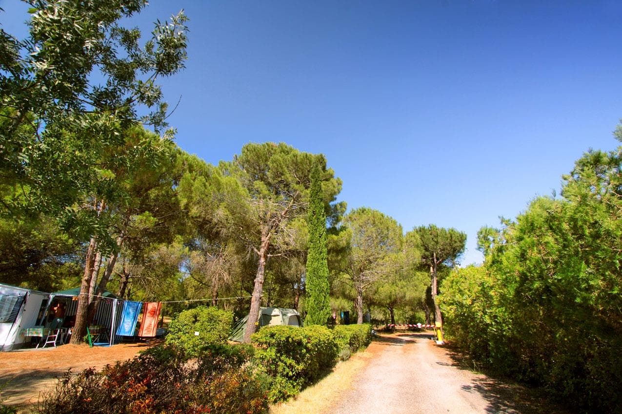 A scenery from Camping Le MALOLYA