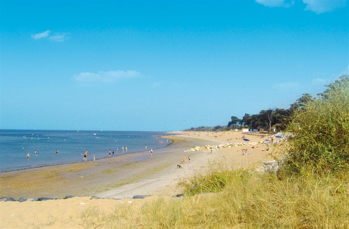 A scenery from Camping Antioche d'Oléron