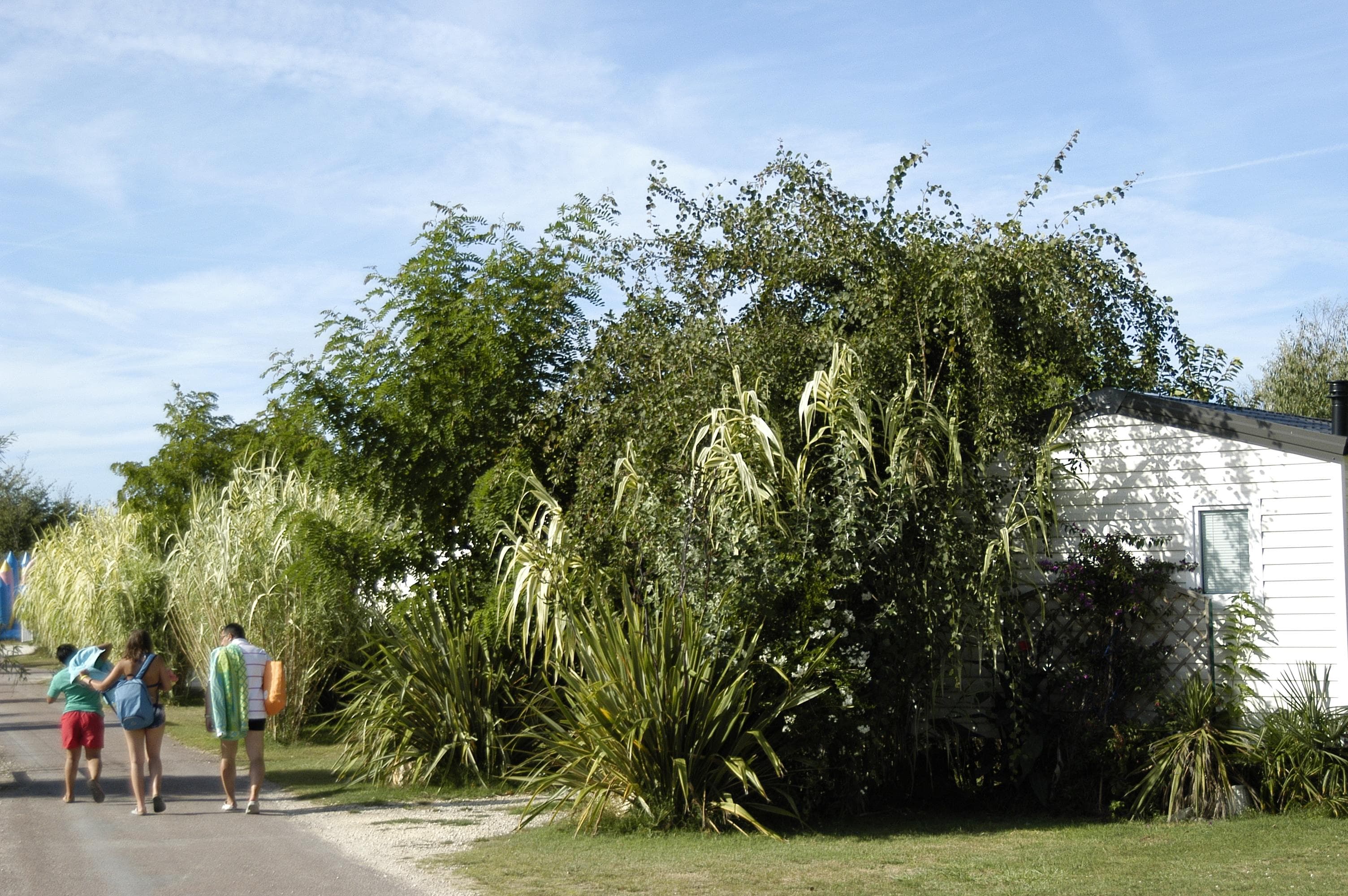 A scenery from Camping Antioche d'Oléron