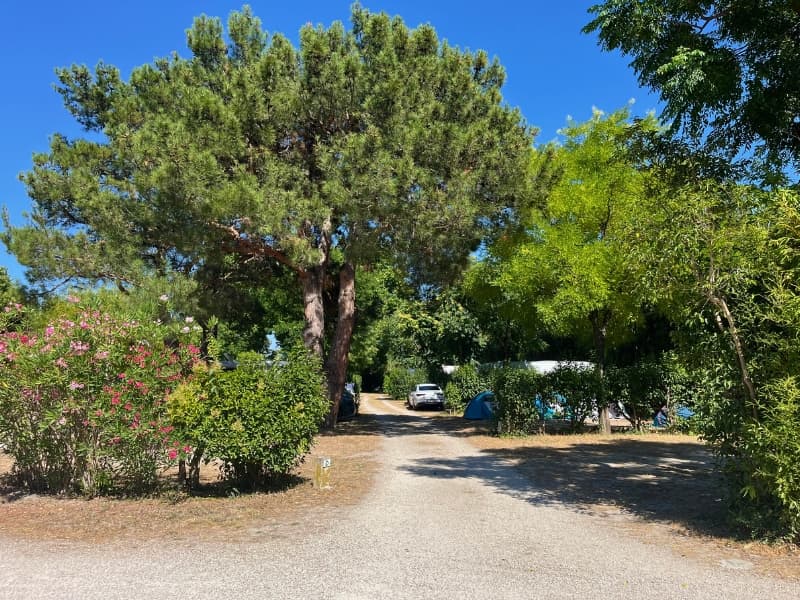 A scenery from Camping Pegomas
