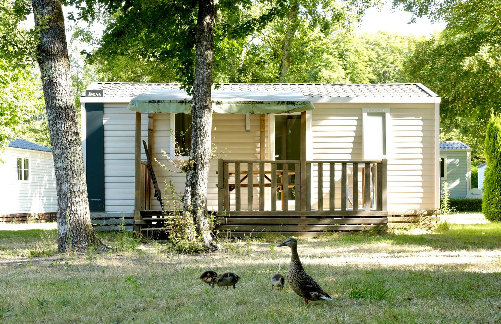 A scenery from Camping Ile de Boulancourt