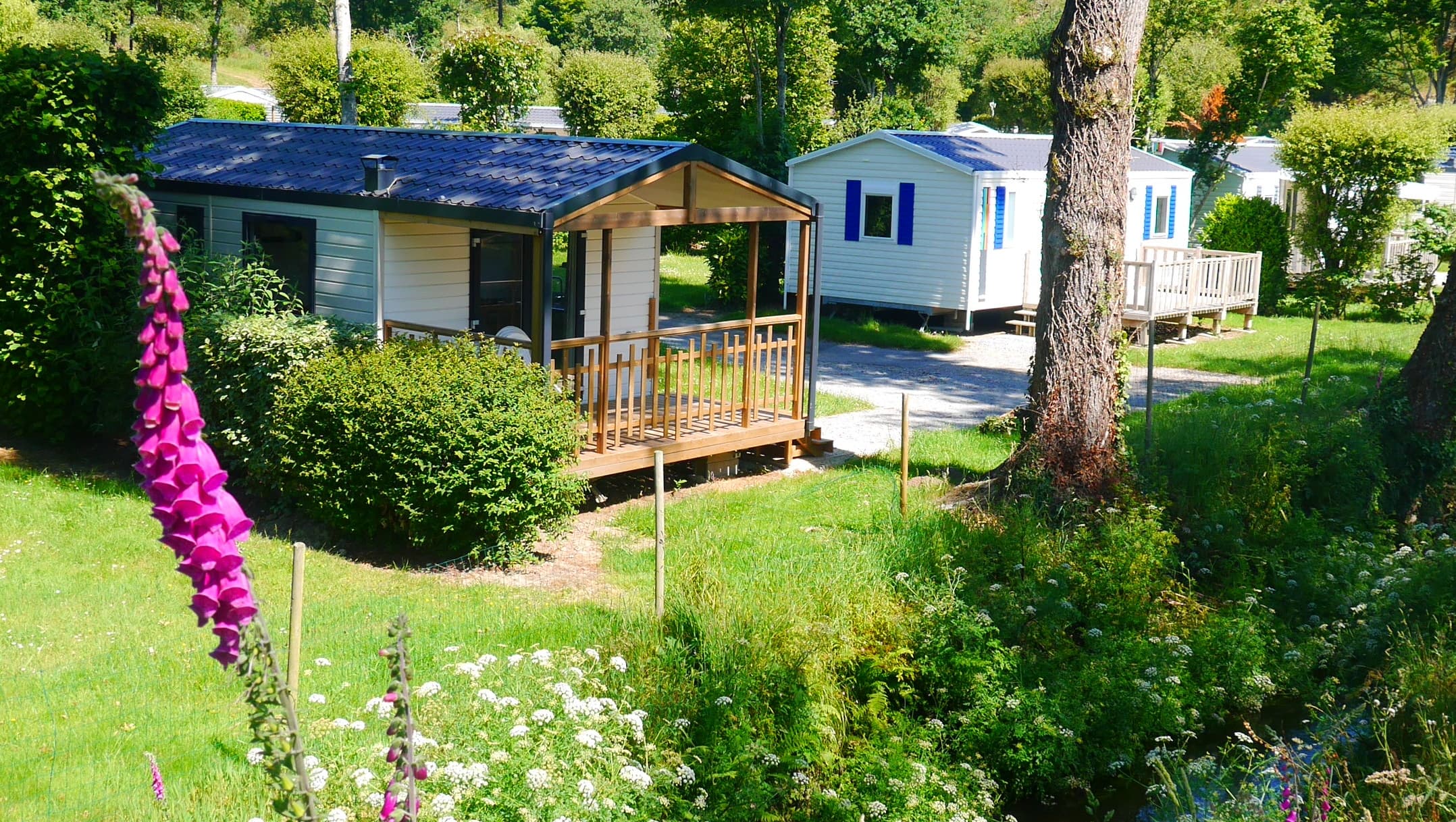 A scenery from Camping Le Moulin de Cadillac