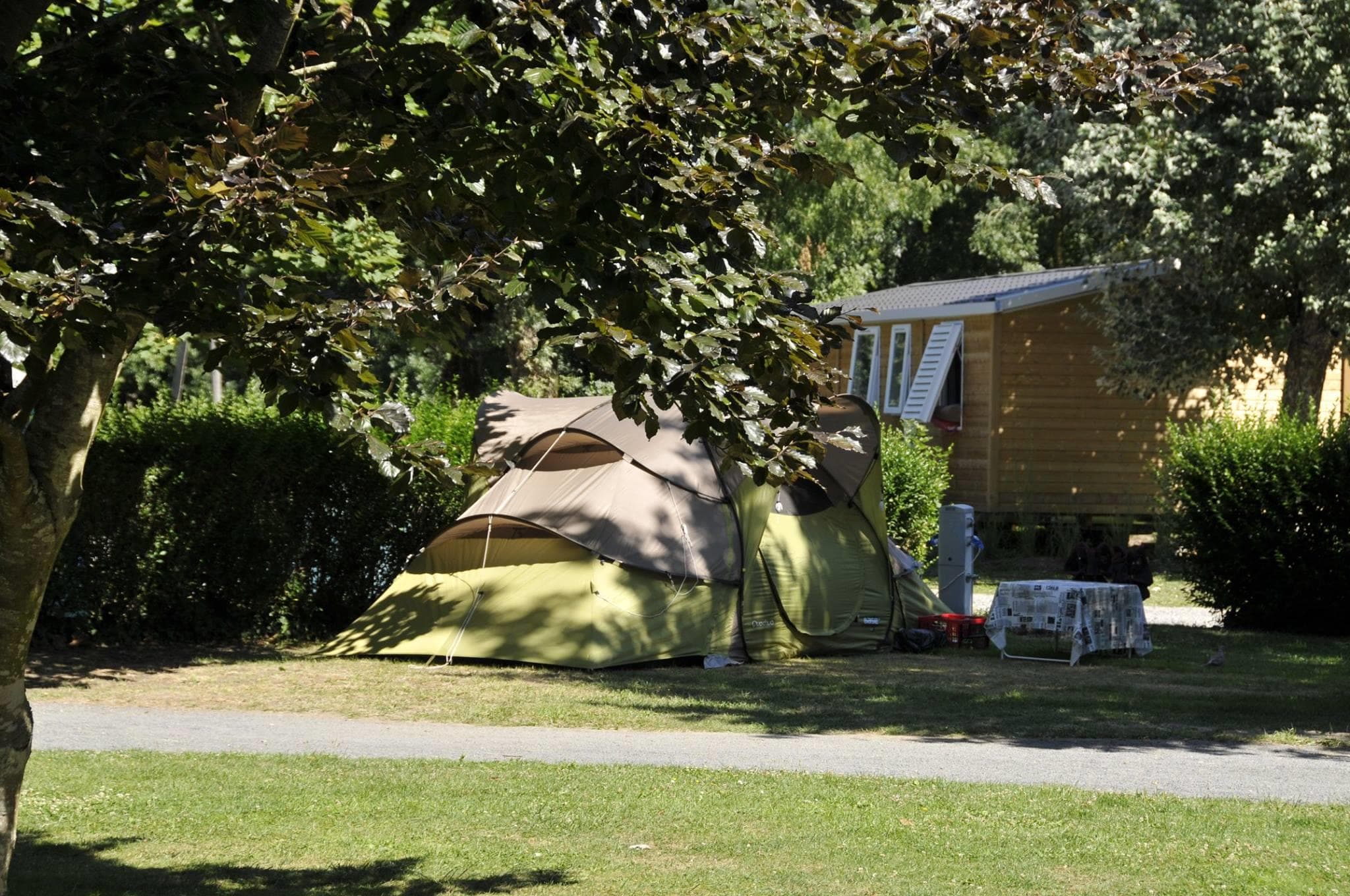 A scenery from Flower Camping du Port Caroline