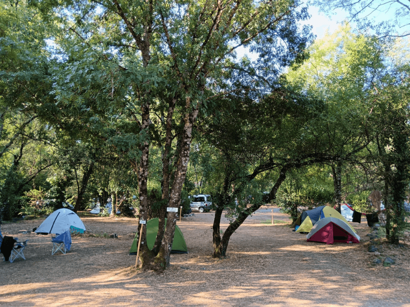 A scenery from Ludo Camping