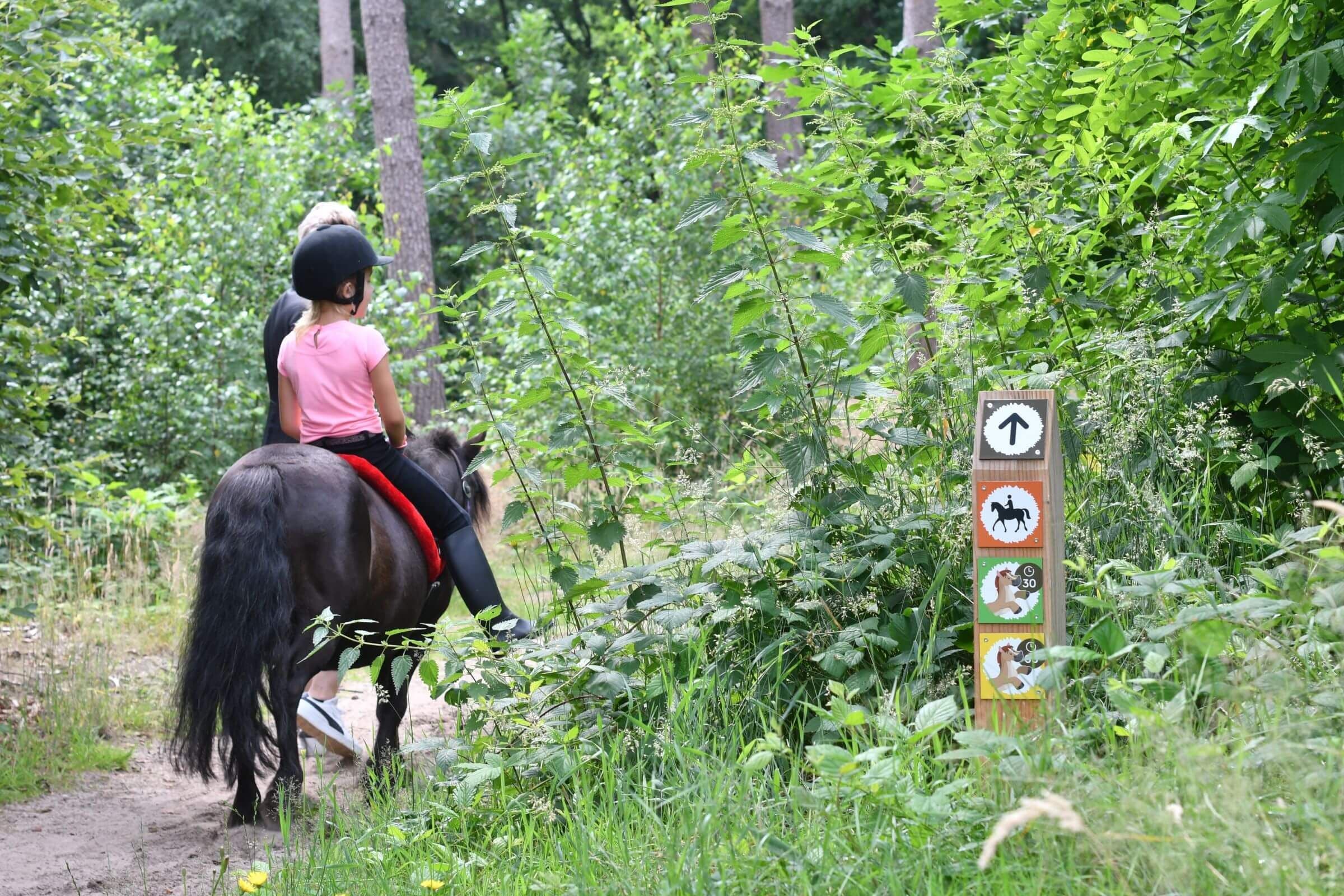 A scenery from Camping Ommerland