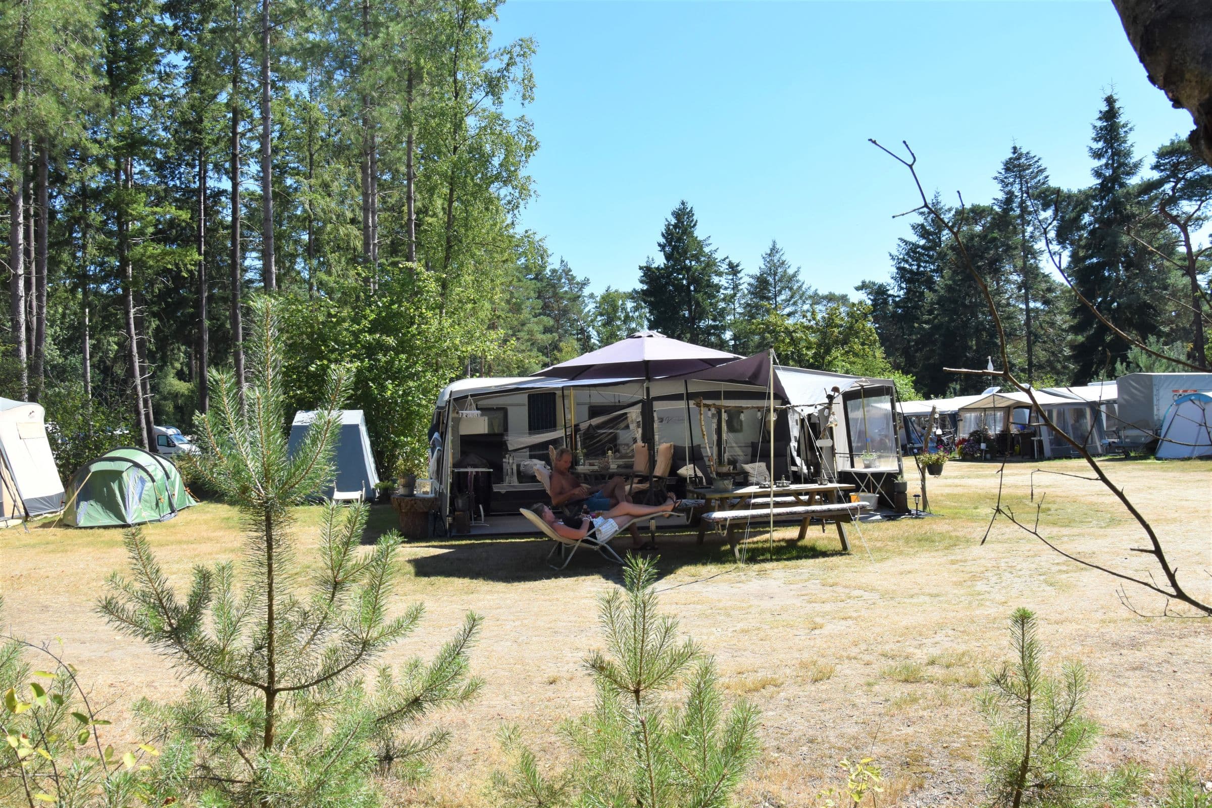 A scenery from Camping Ommerland