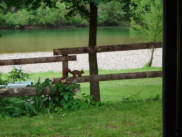 A scenery from Camping Saint-Pal