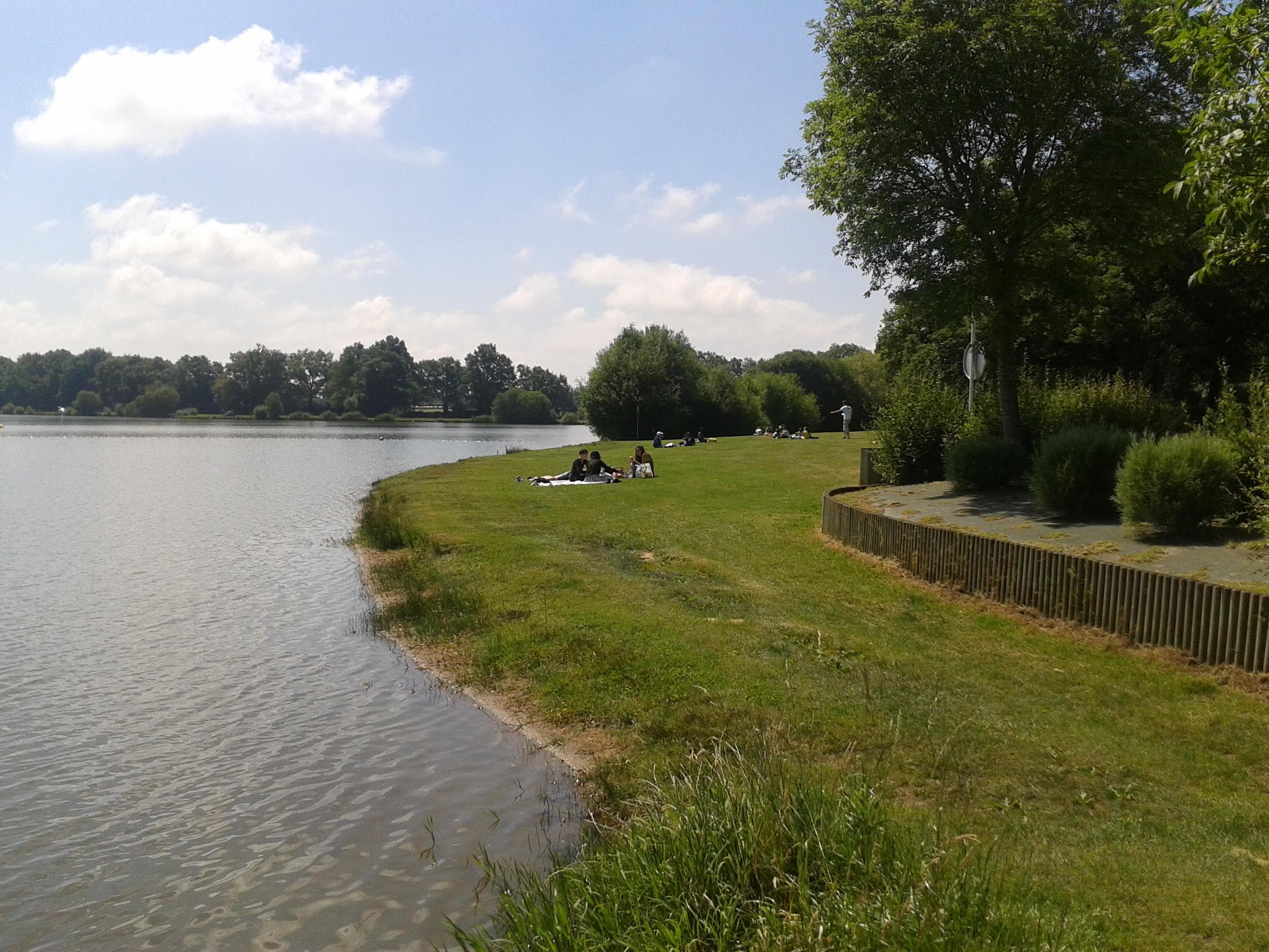 A scenery from Camping OAKi