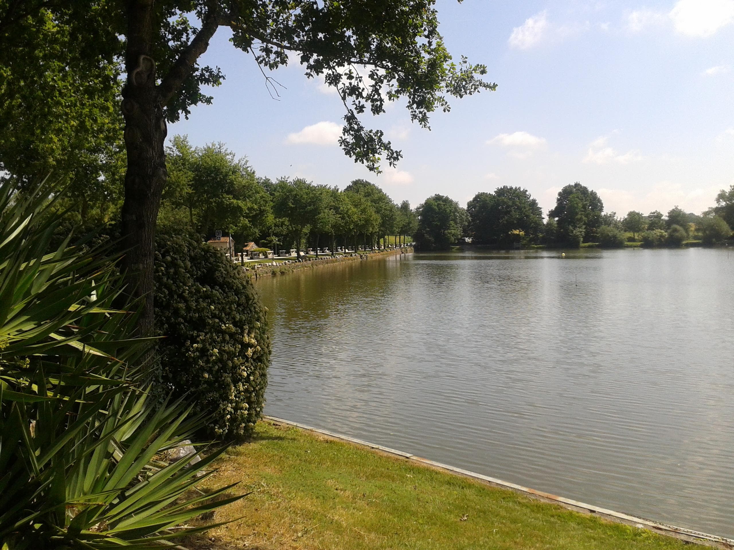A scenery from Camping OAKi