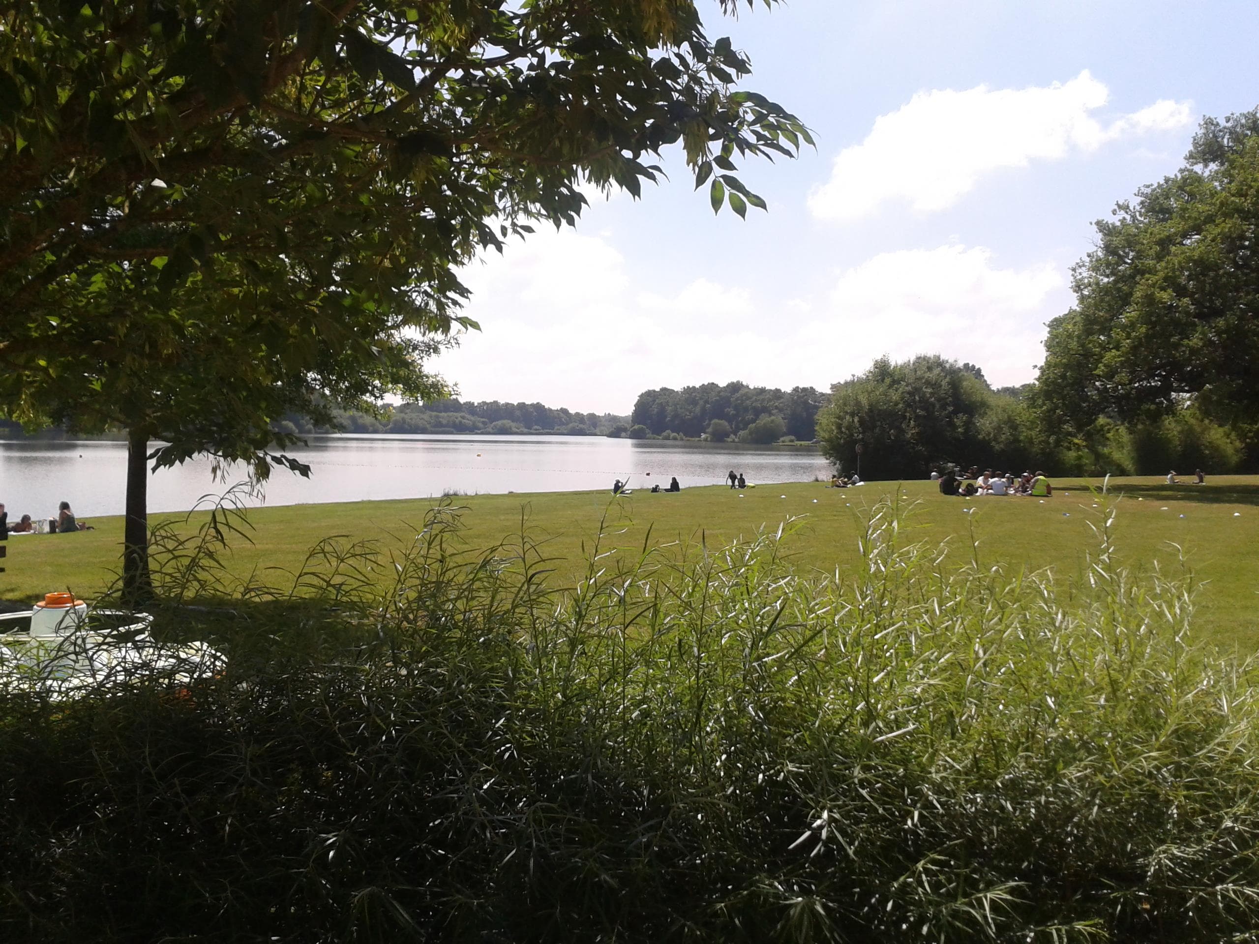 A scenery from Camping OAKi