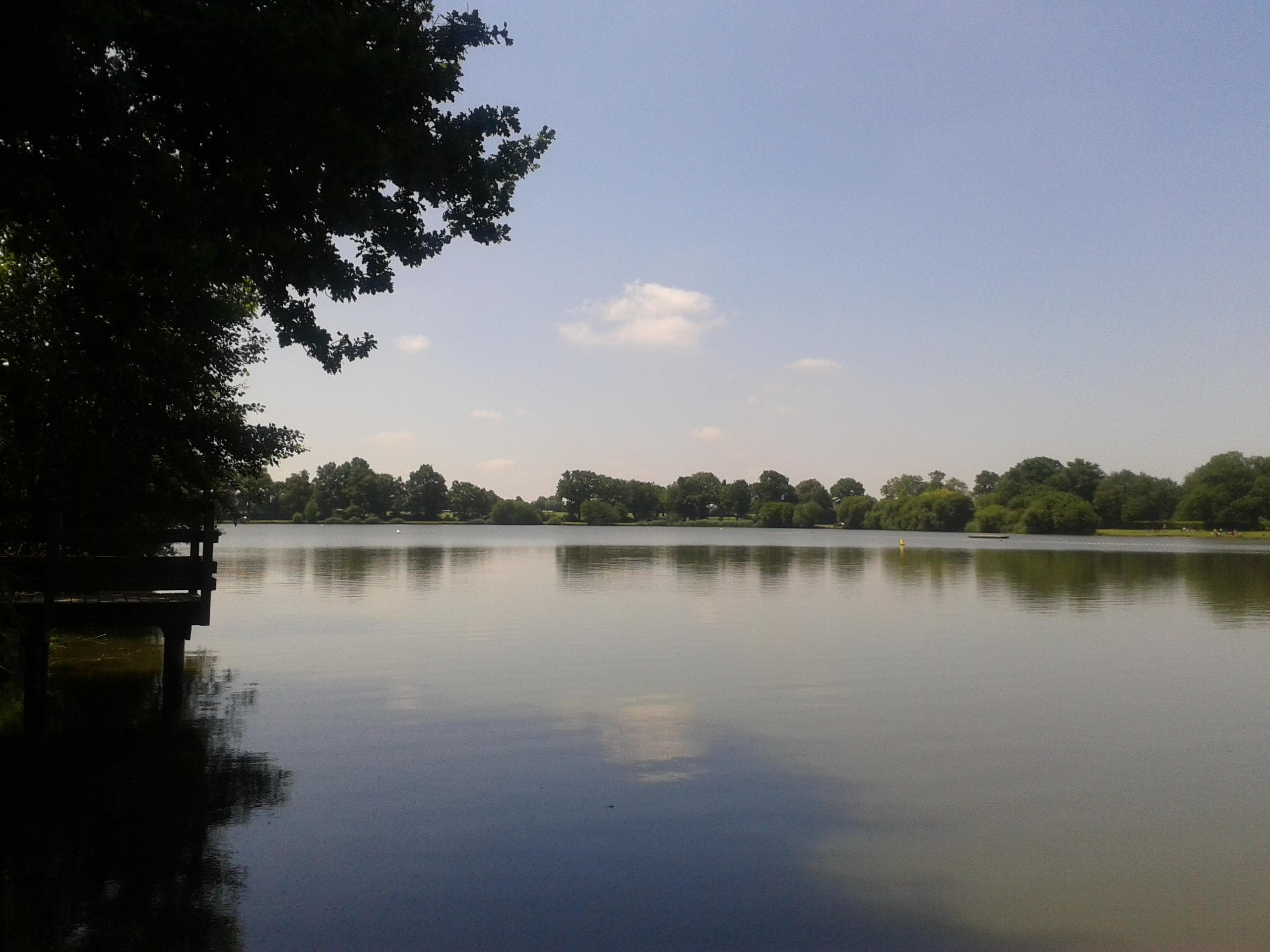 A scenery from Camping OAKi