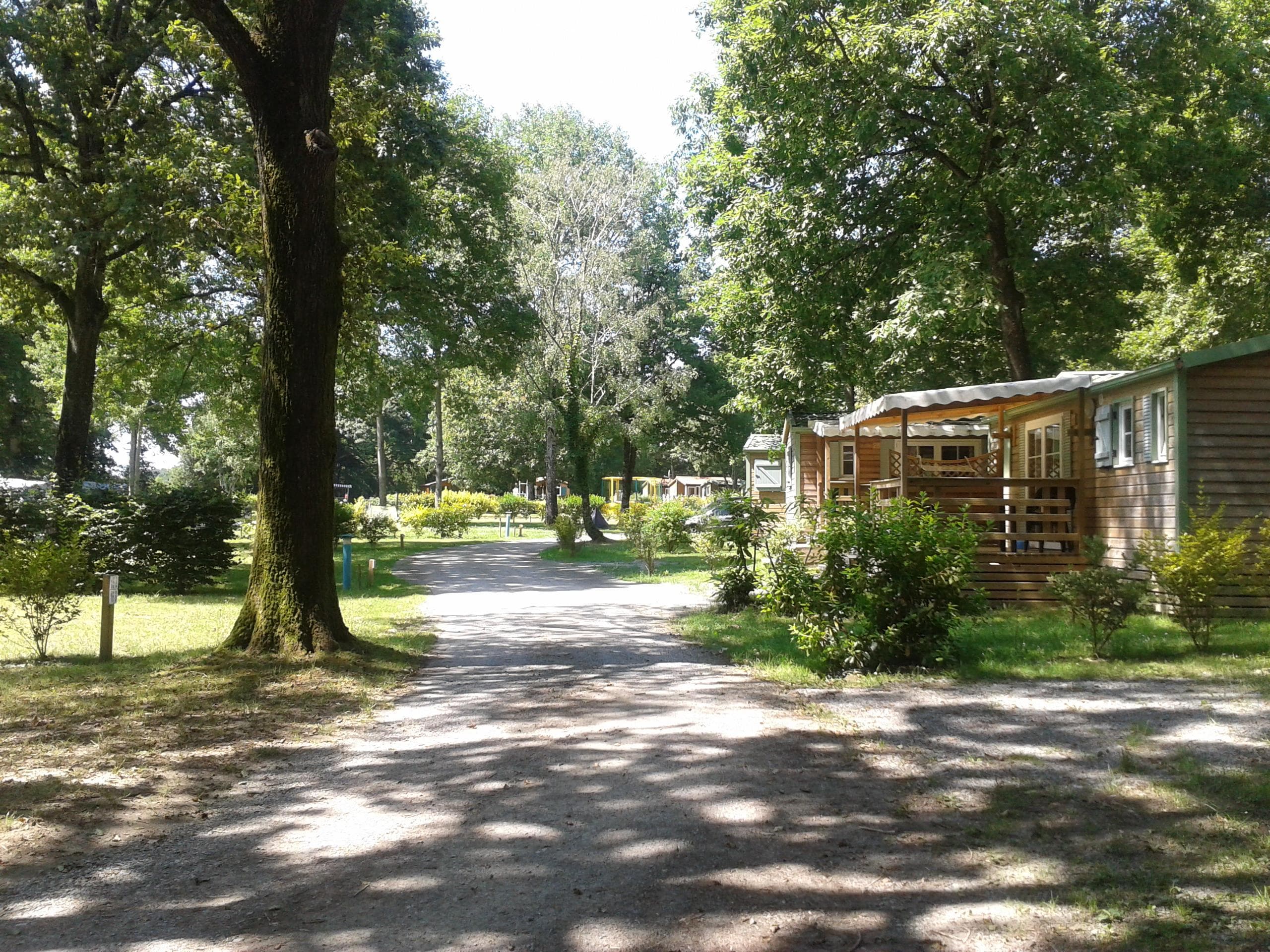 A scenery from Camping OAKi