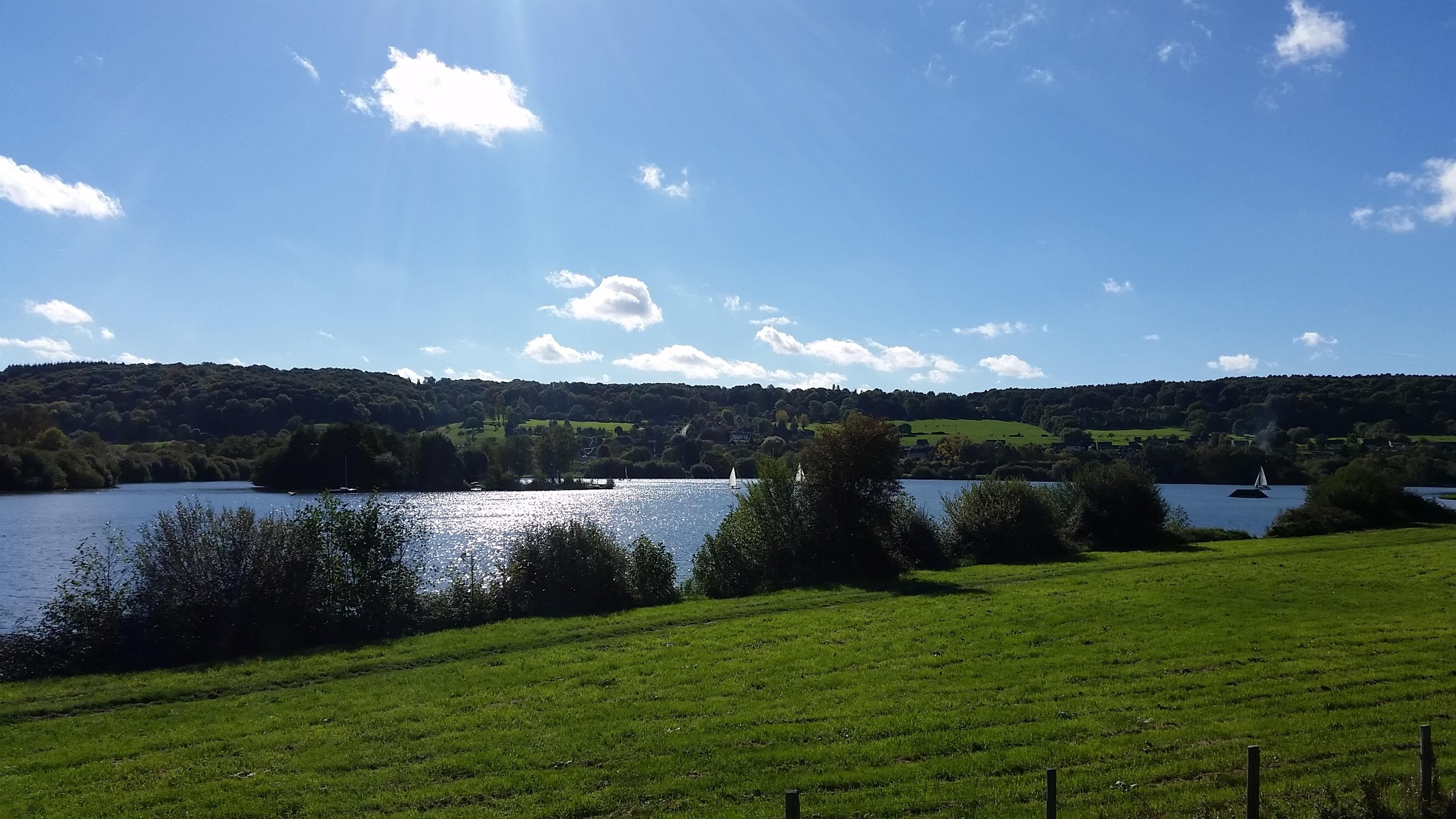 A scenery from Camping Risle et  Seine - Domaine des Etangs