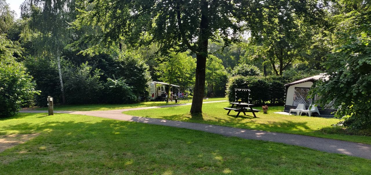 A scenery from Camping De Ruimte