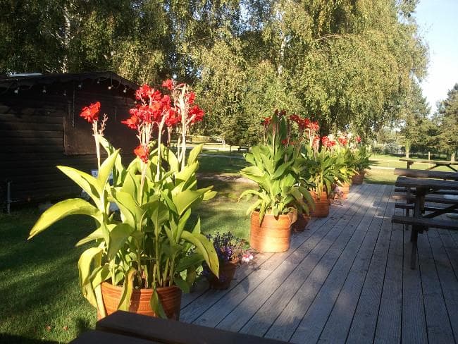 A scenery from Clico Chic - Au Clair Ruisseau