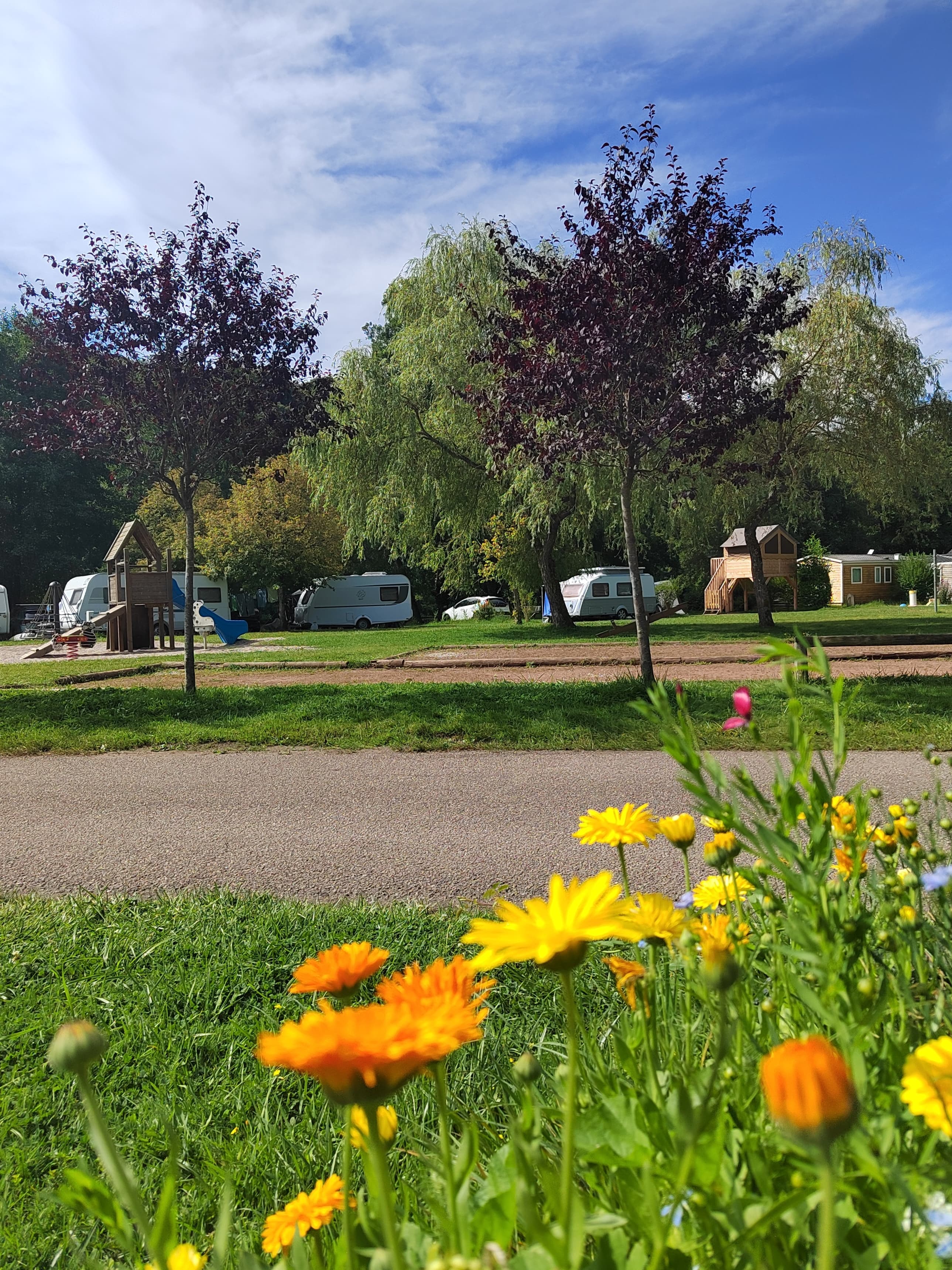 A scenery from Camping de Villey le Sec