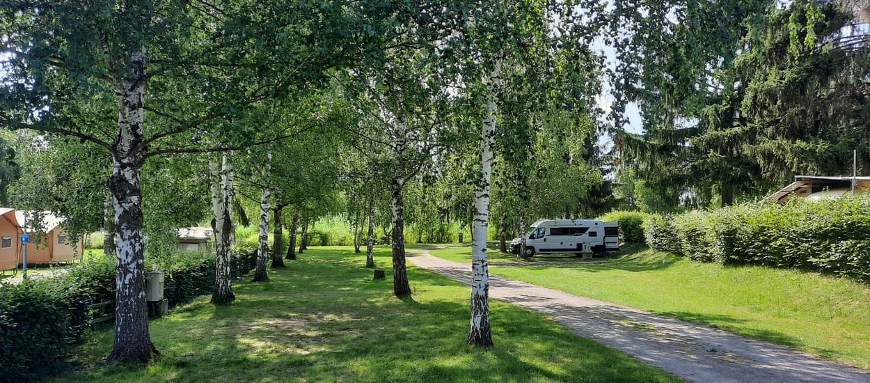 A scenery from Camping Onlycamp Wasselonne