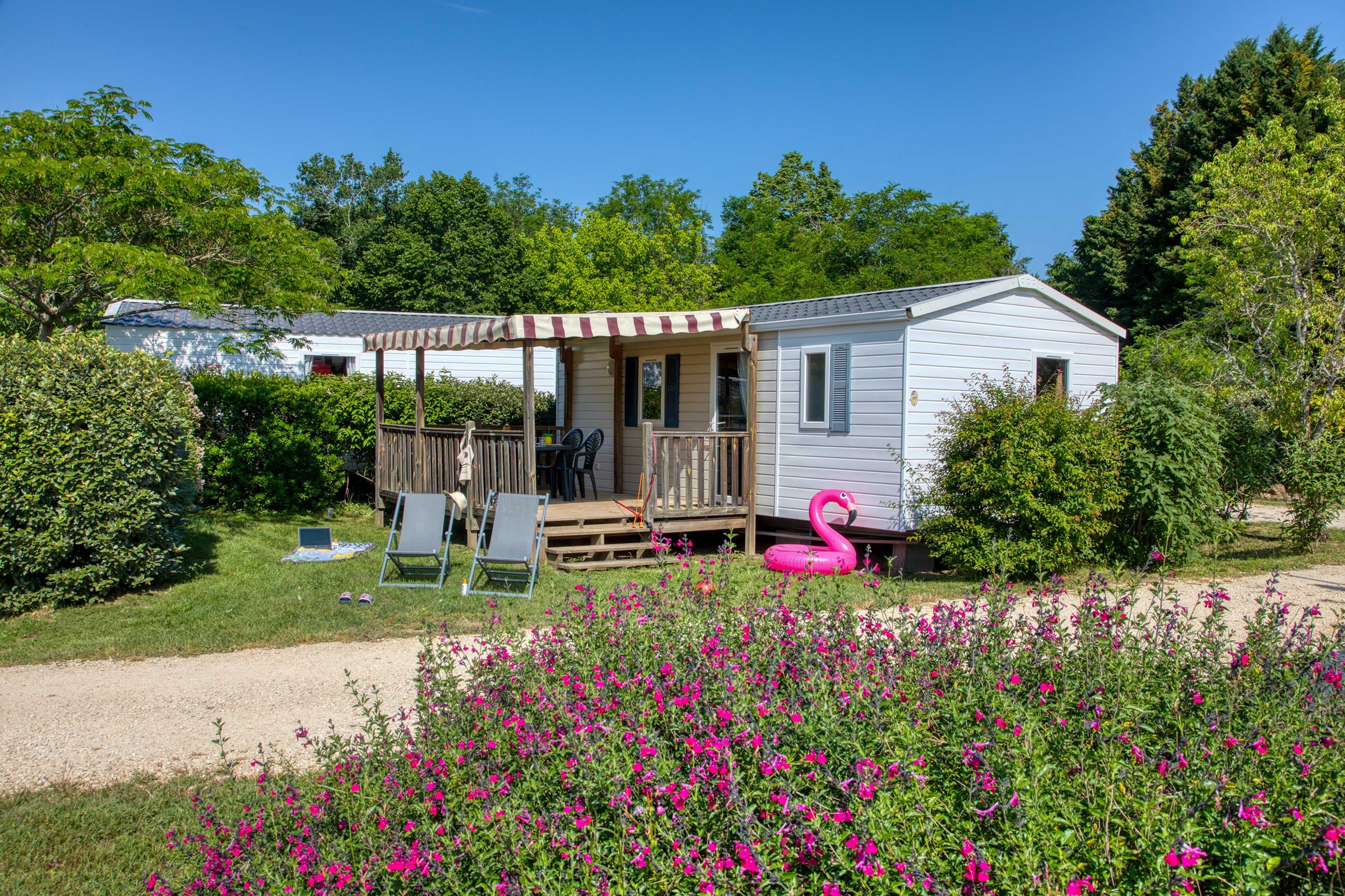 A scenery from Flower Camping La Sagne