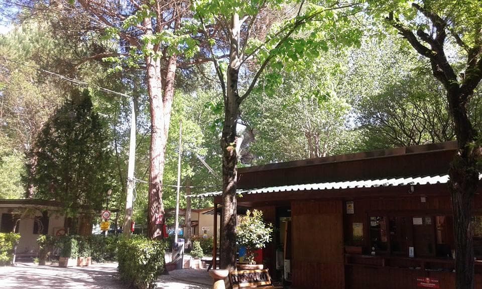 A scenery from Campeggio Bosco Verde