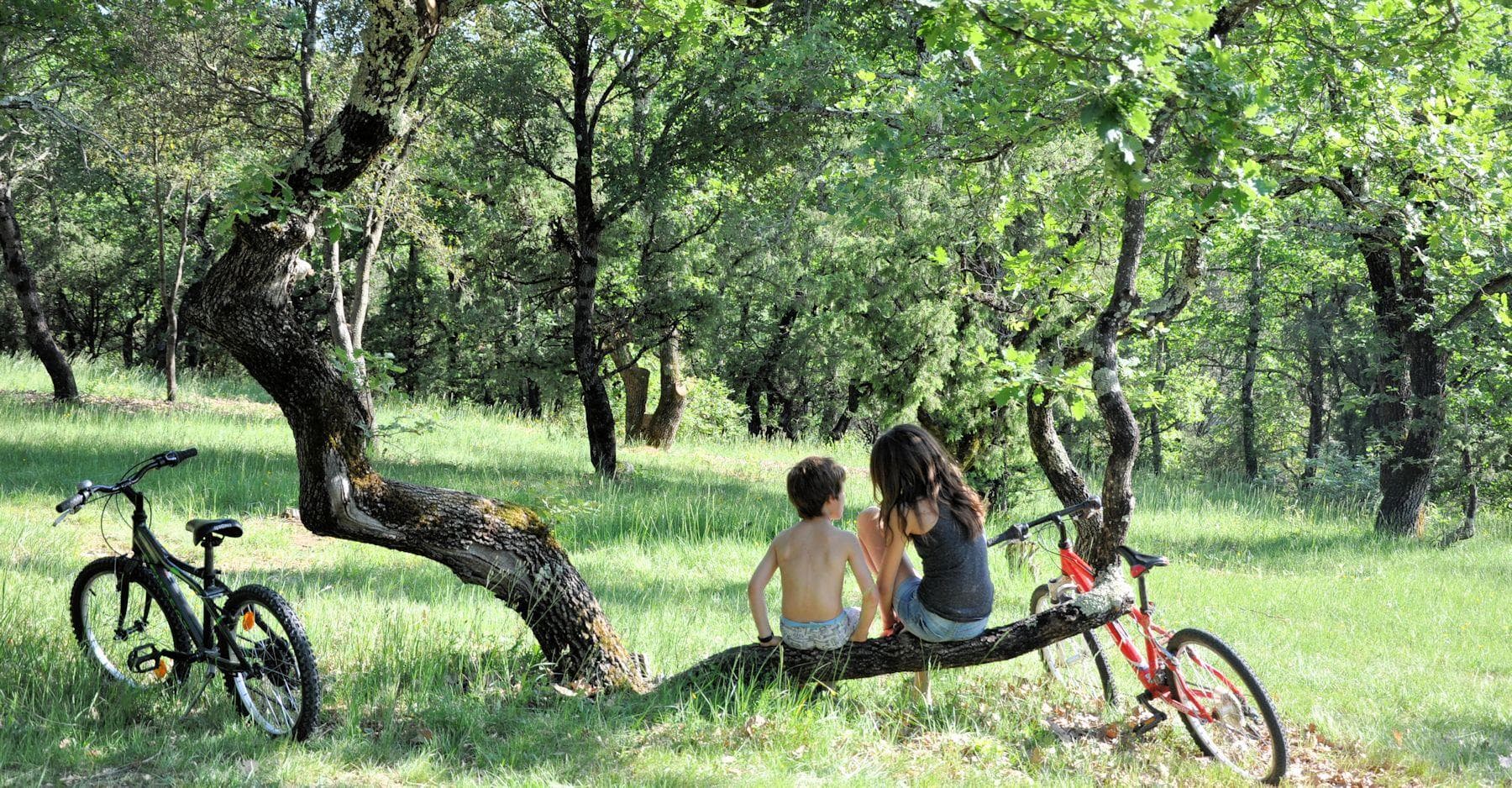 A scenery from Camping L'Ombrage