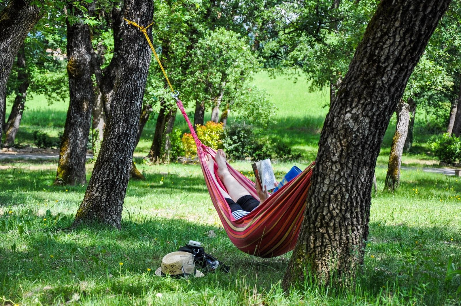 A scenery from Camping L'Ombrage