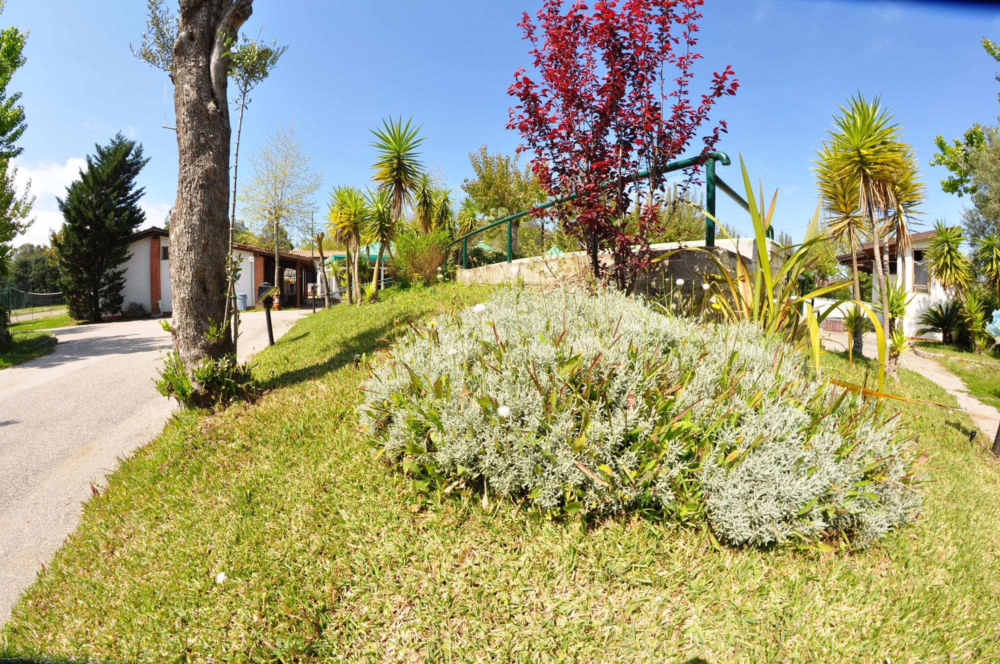 A scenery from Campeggio Villaggio Paestum