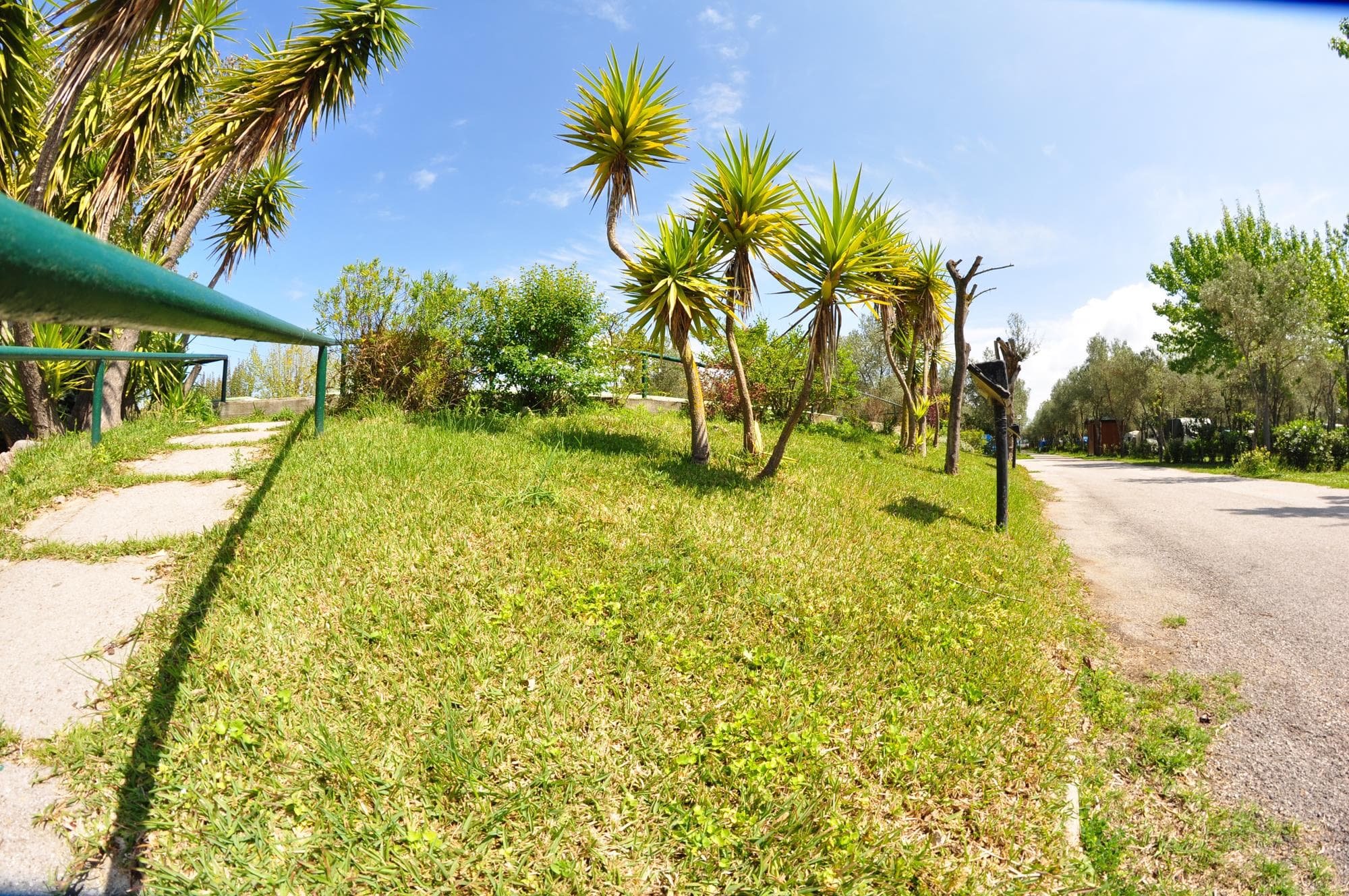 A scenery from Campeggio Villaggio Paestum