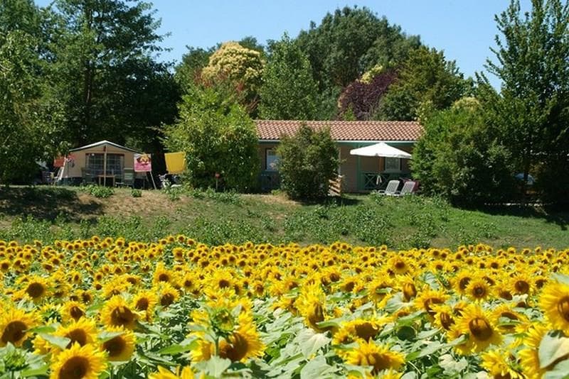 A scenery from Le Camp de Florence