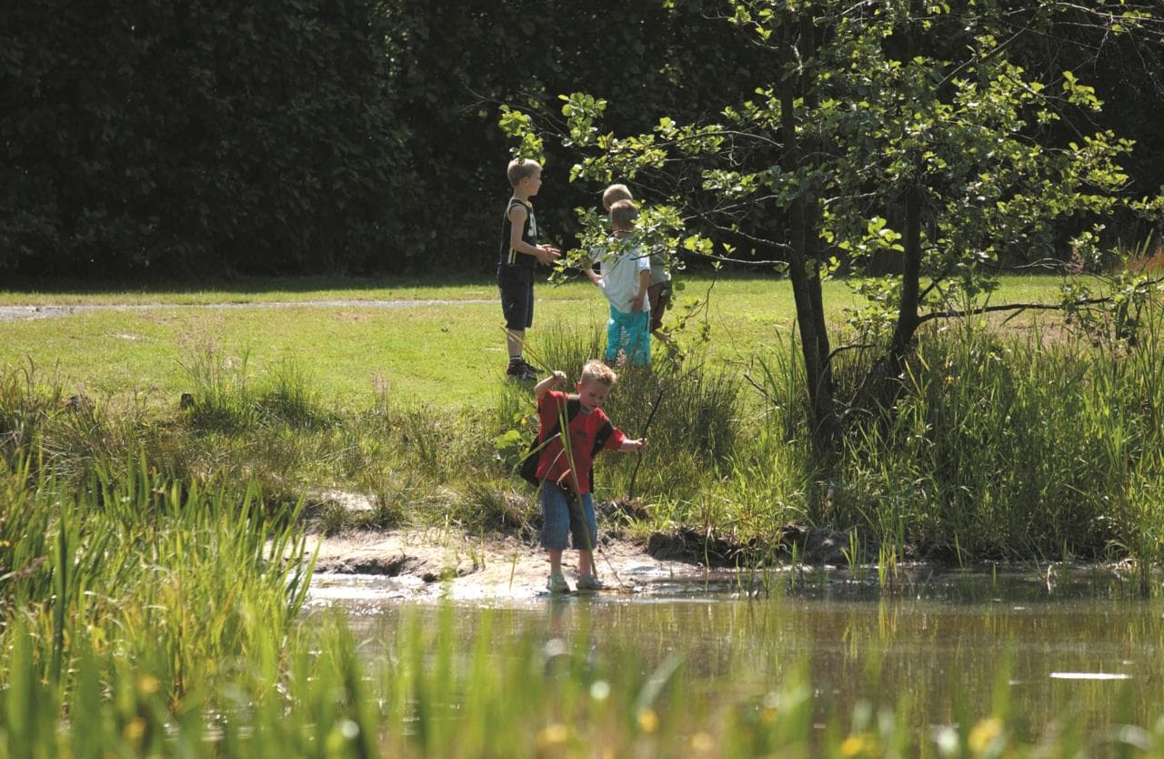 A scenery from Camping De Kleine Wolf
