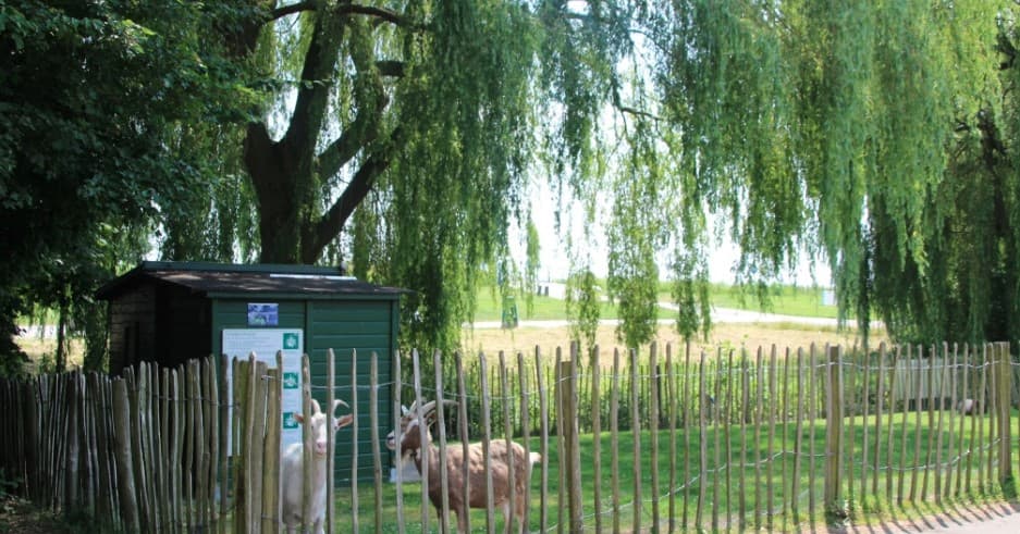A scenery from Recreatiepark De Koornmolen