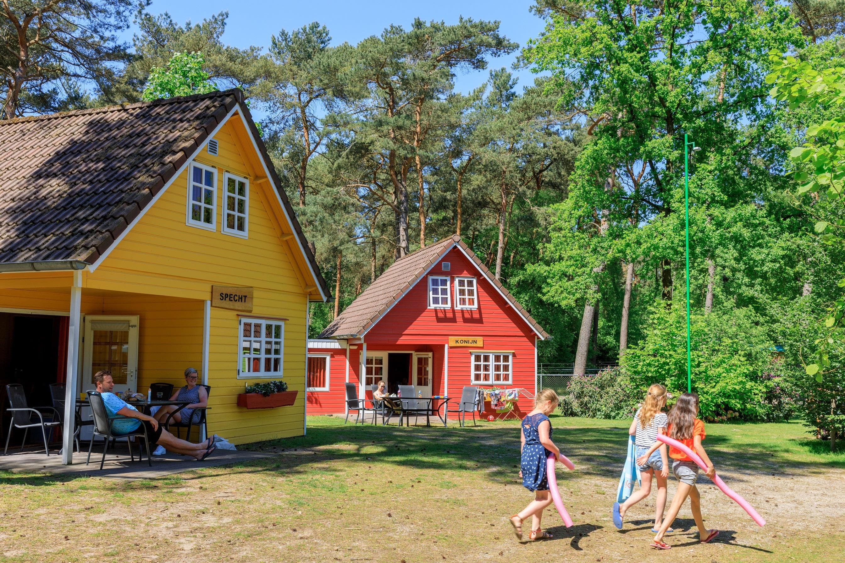 A scenery from Camping De Heldense Bossen