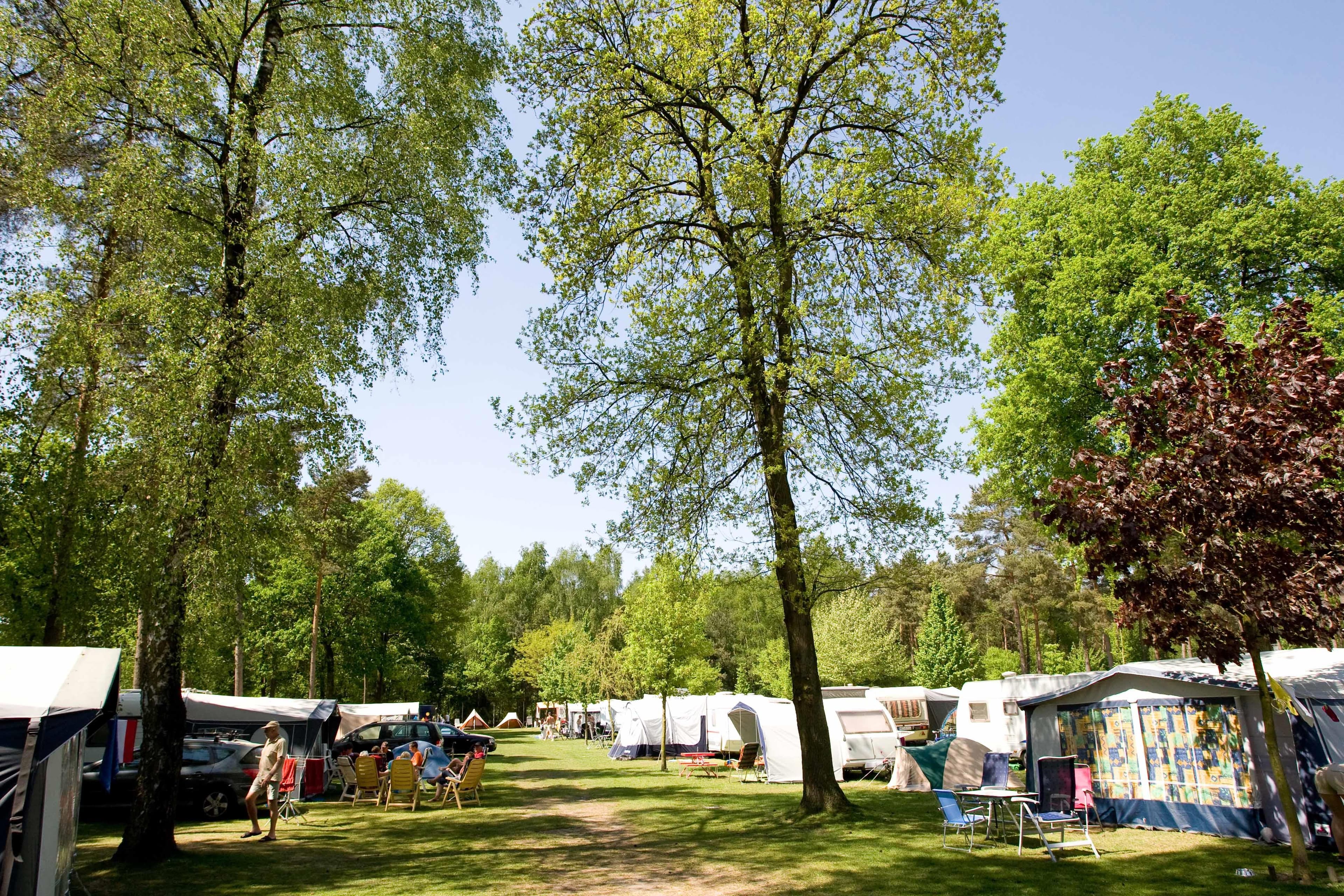 A scenery from Camping De Heldense Bossen