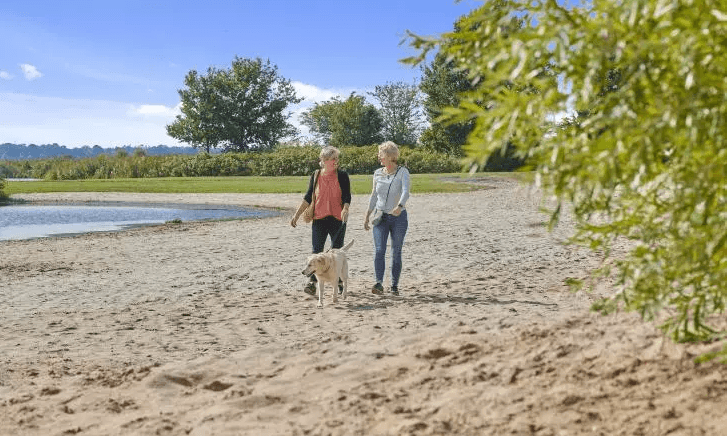A scenery from Siblu - Camping Meerwijck