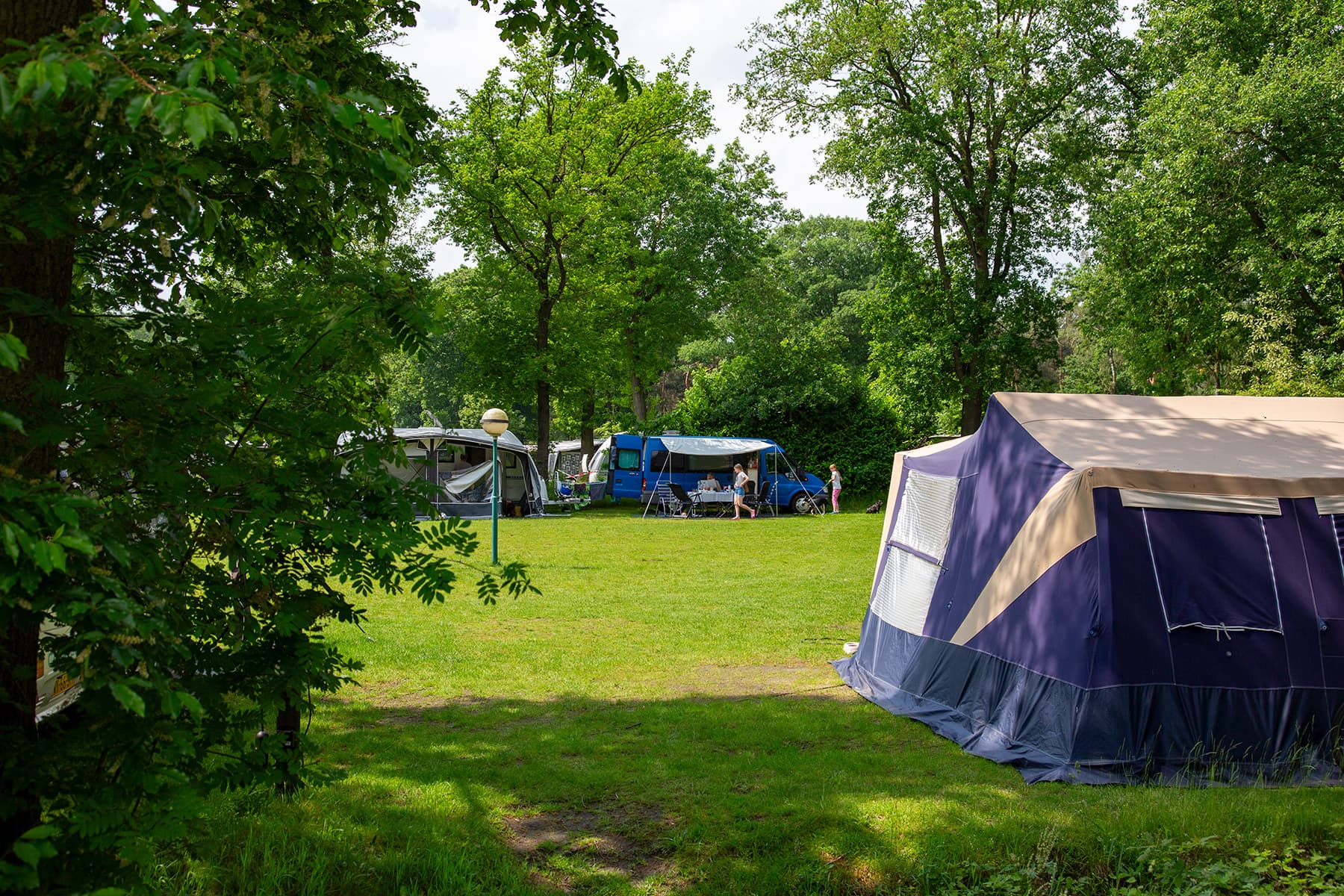 A scenery from Recreatiepark Beringerzand
