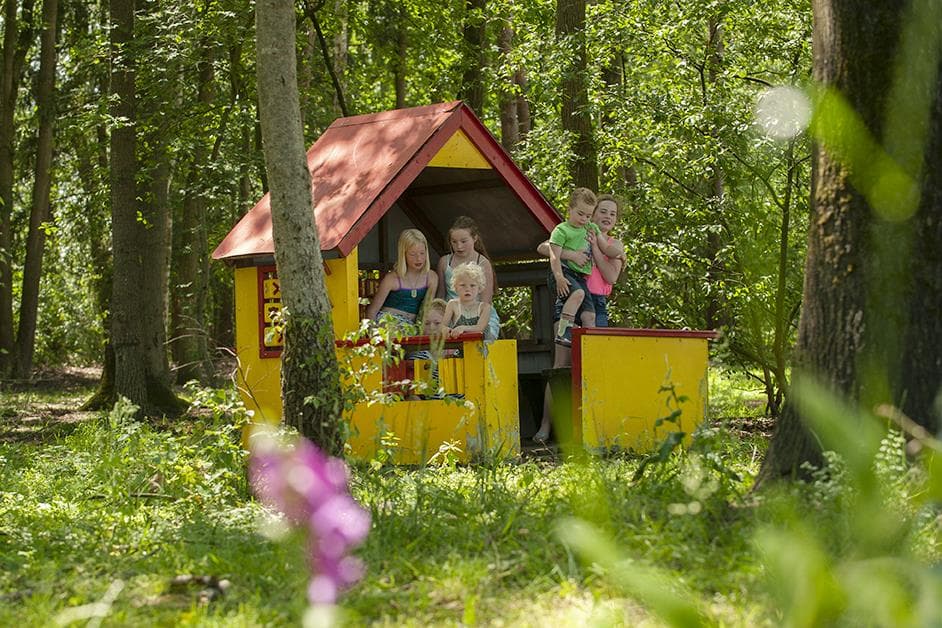 A scenery from Camping Goorzicht