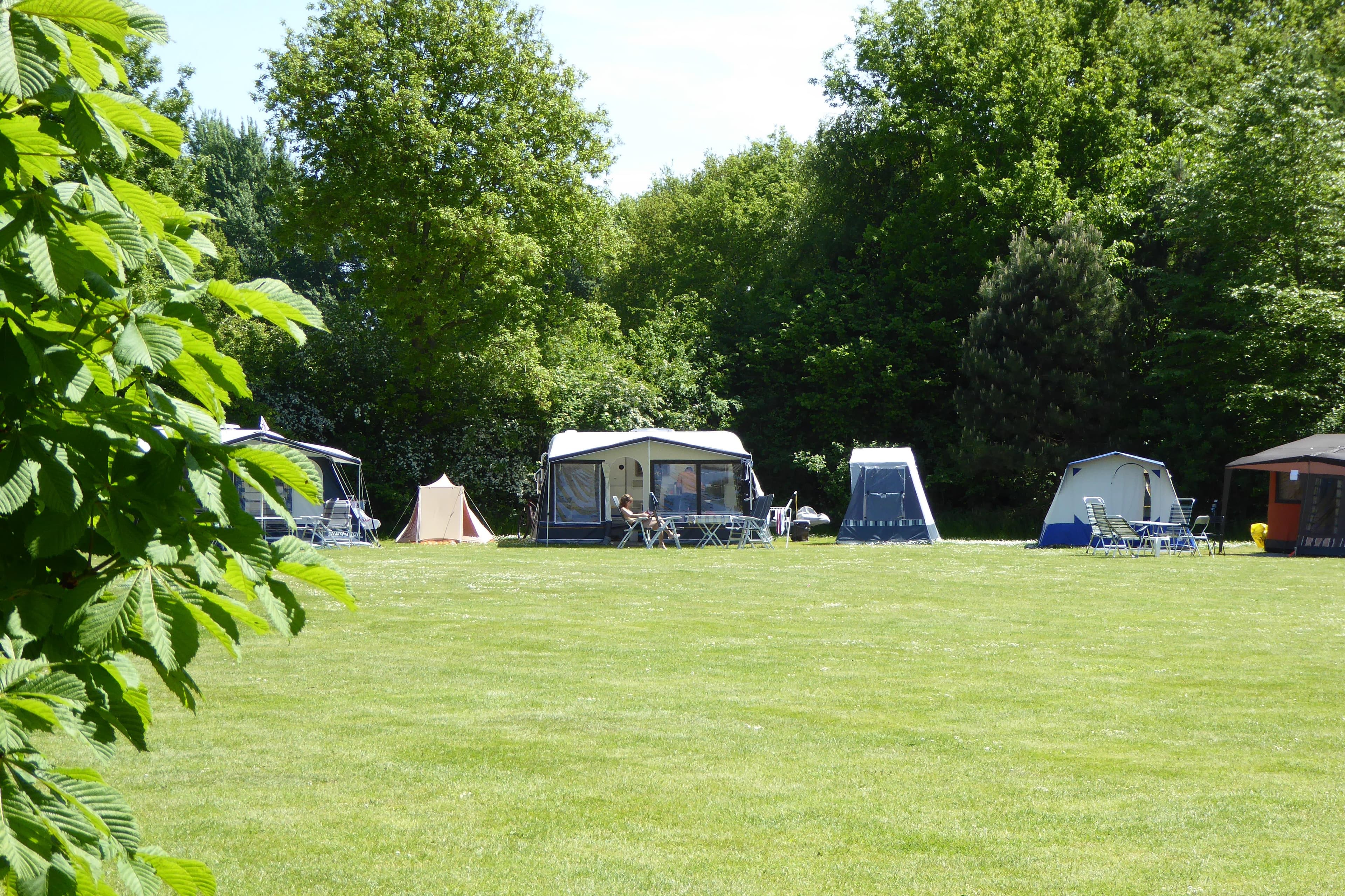 A scenery from Vakantieoord De Bronzen Emmer
