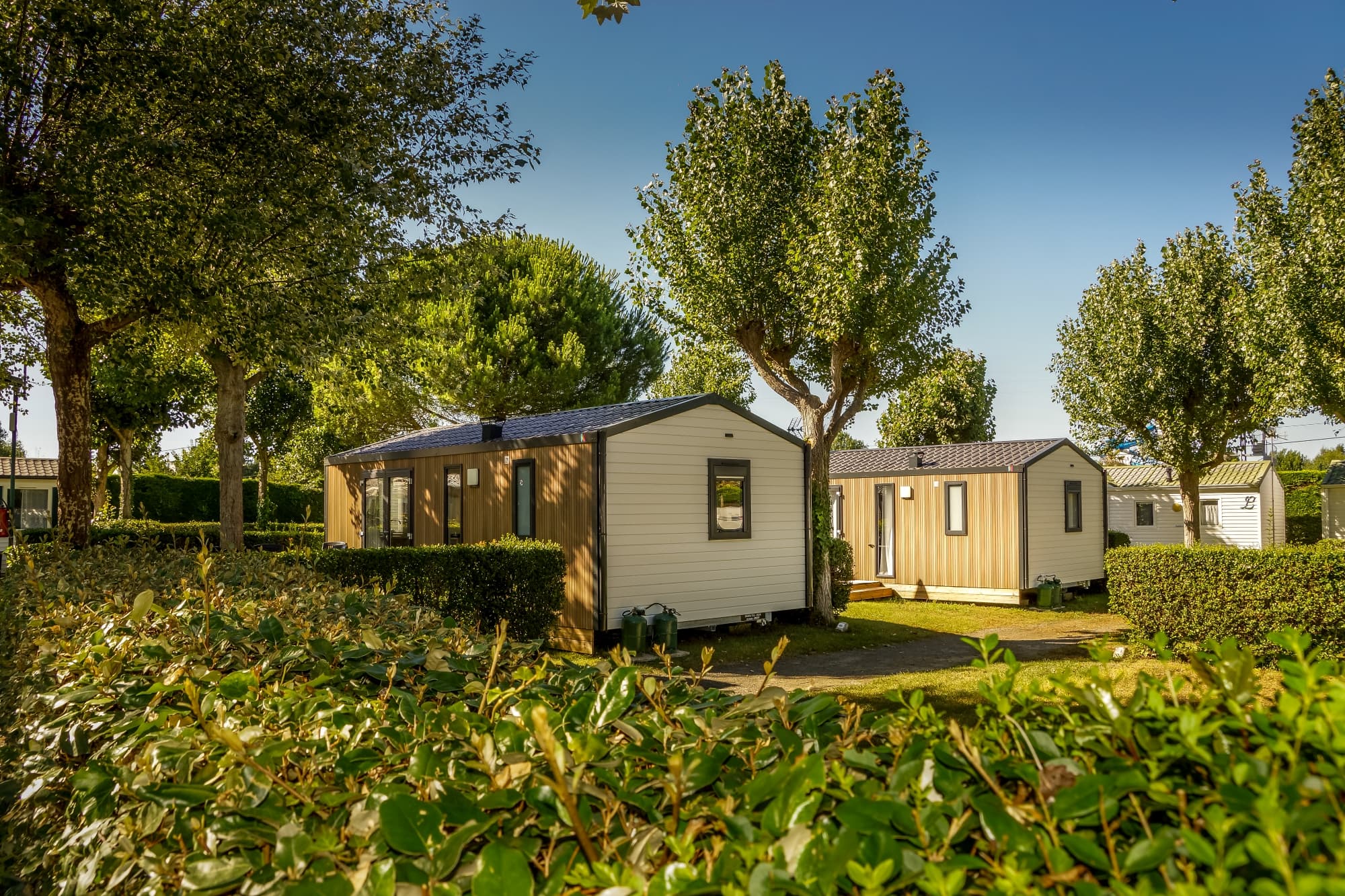A scenery from Camping Aux Coeurs Vendéens